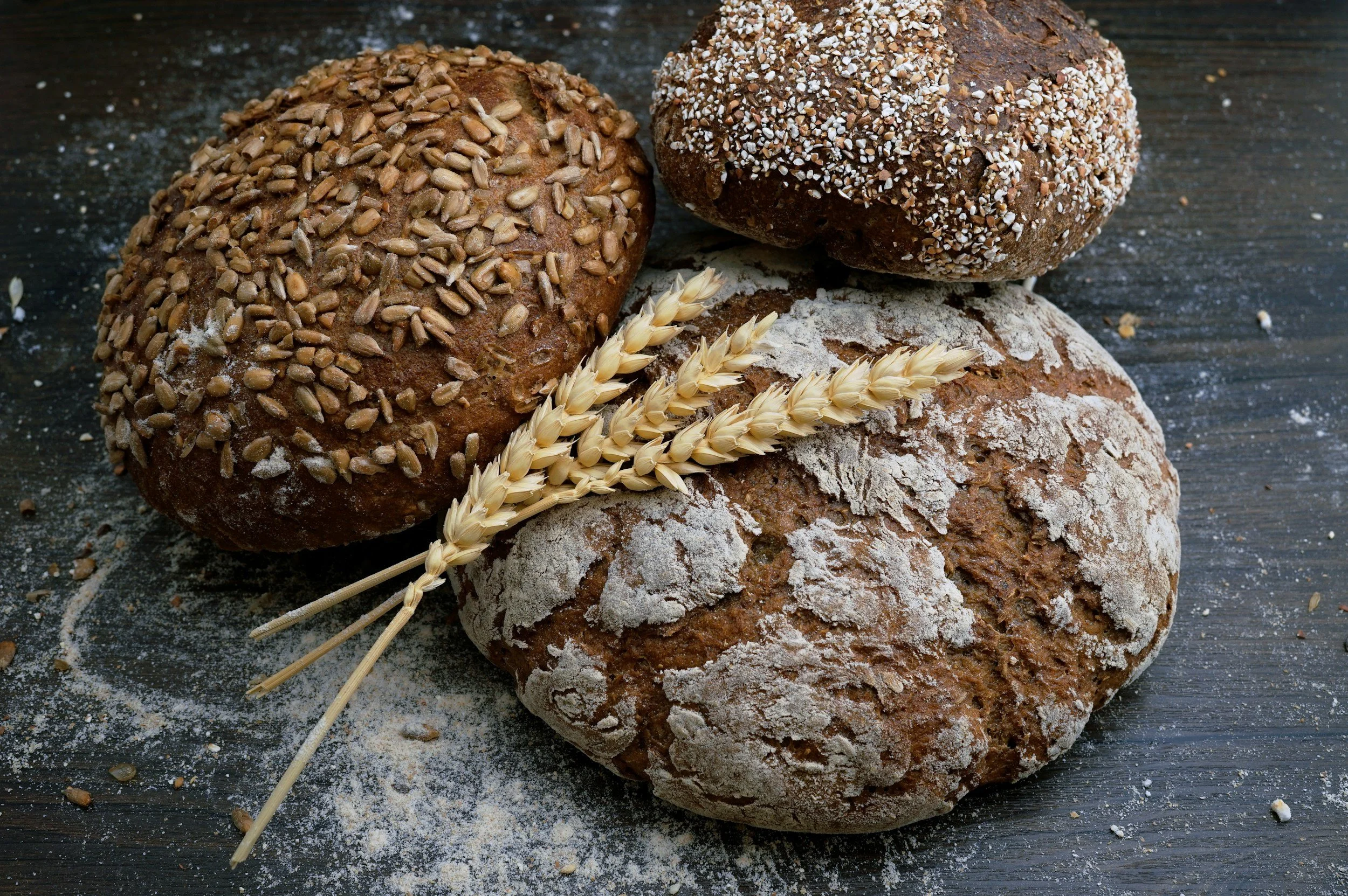 I Am The Bread | Therefore I am