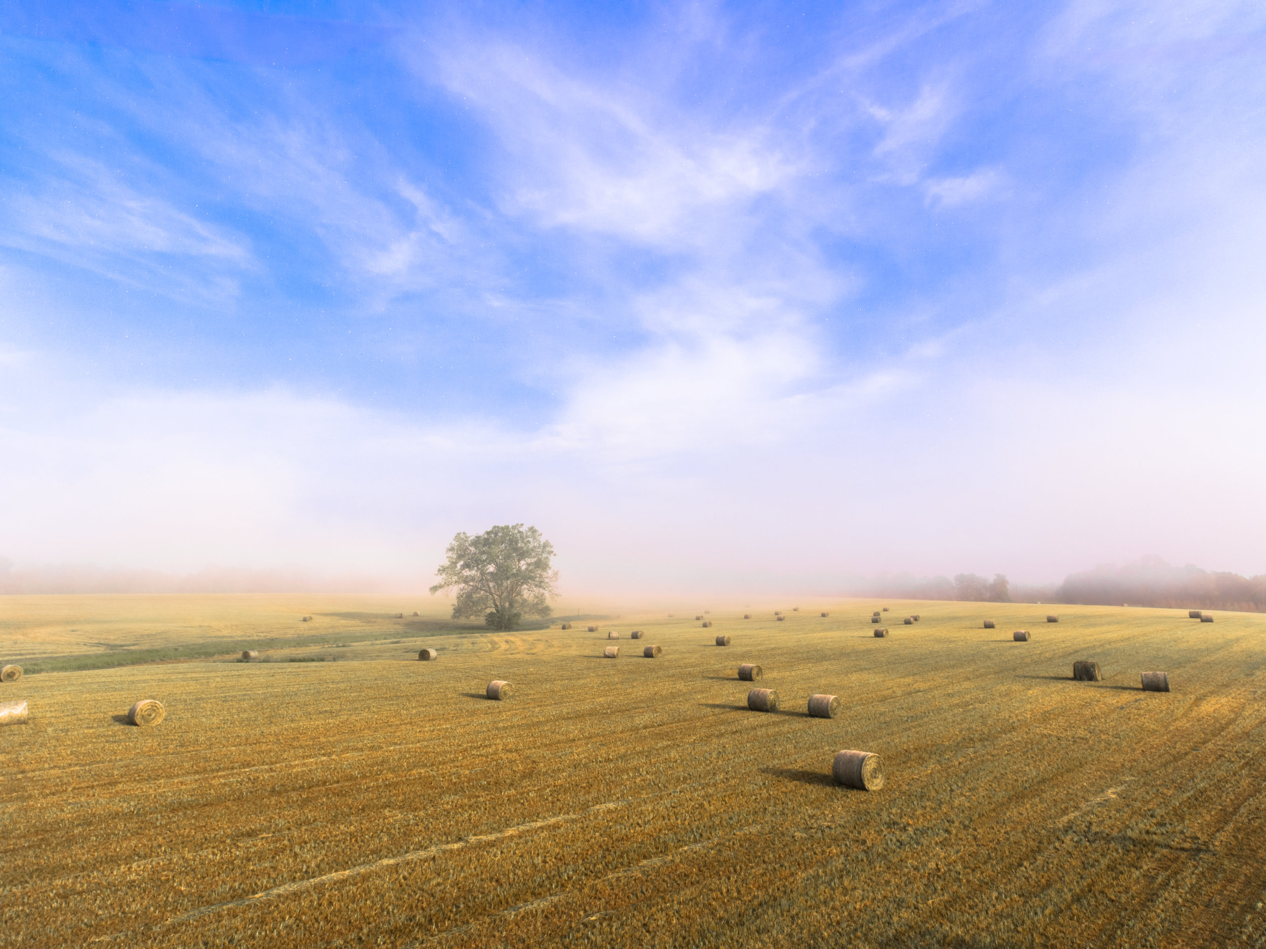 Guided Meditation #1: Tending the Inner Life