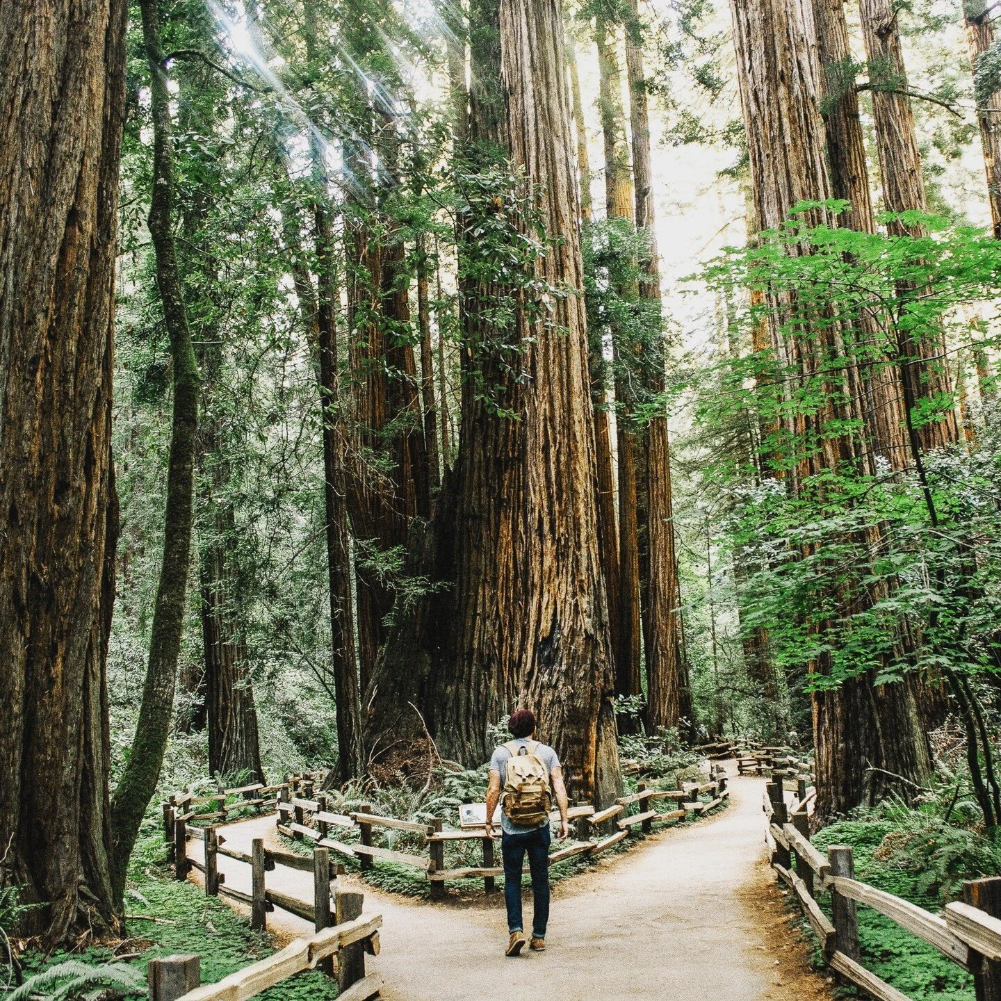 DISCERNMENT - THE HEART OF THE MATTER... When we hear talk about discernment, mostly we connect it to making a decision about something significant in life &mdash; a job, a move, a calling, a life partner, a change. And while these big events do call