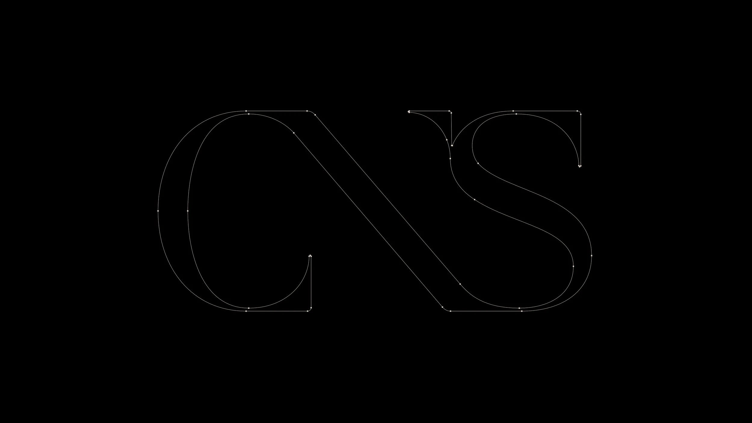 Logo CNS bezier.jpg