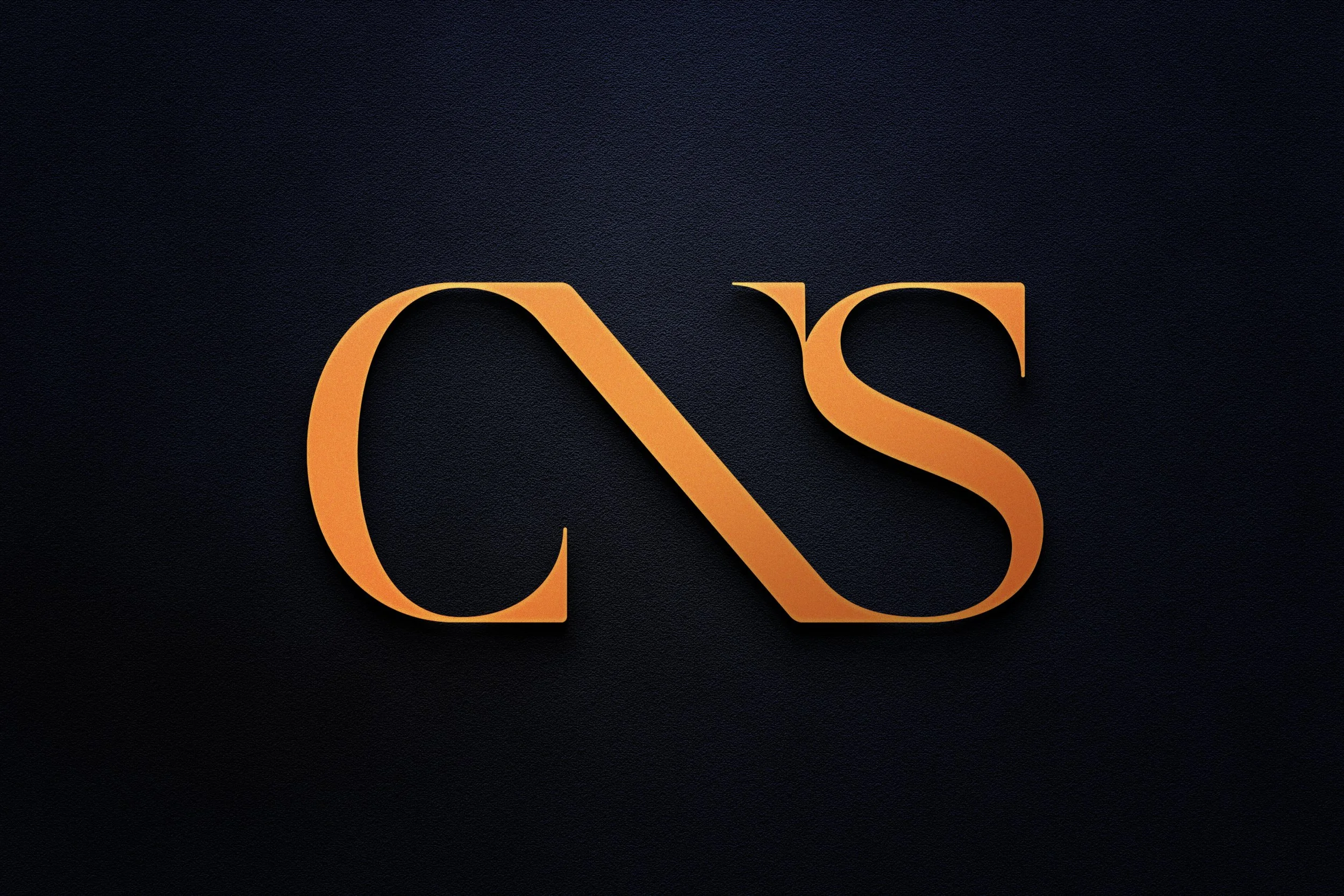 Logo CNS capa.jpg