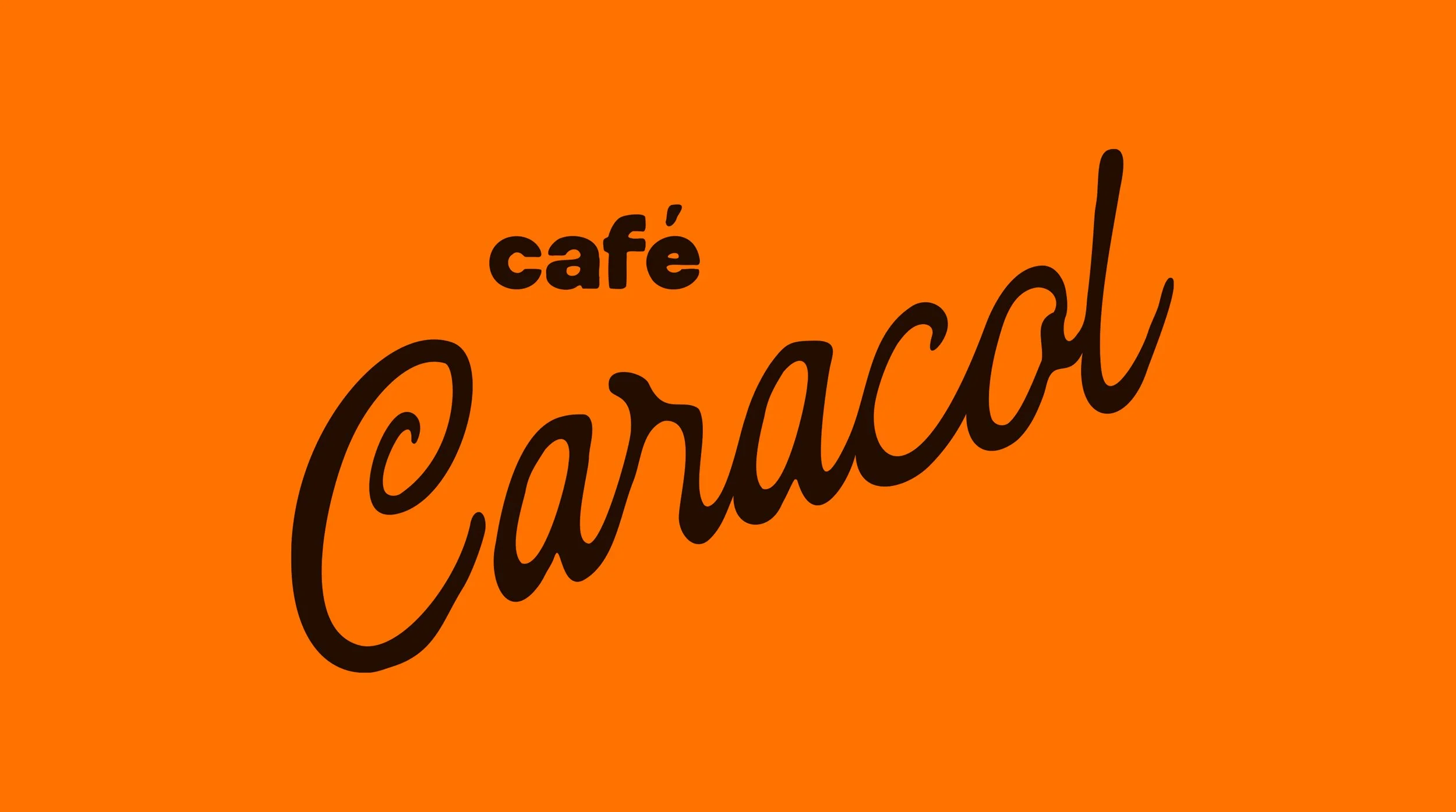 Logo caracol laranja.jpg