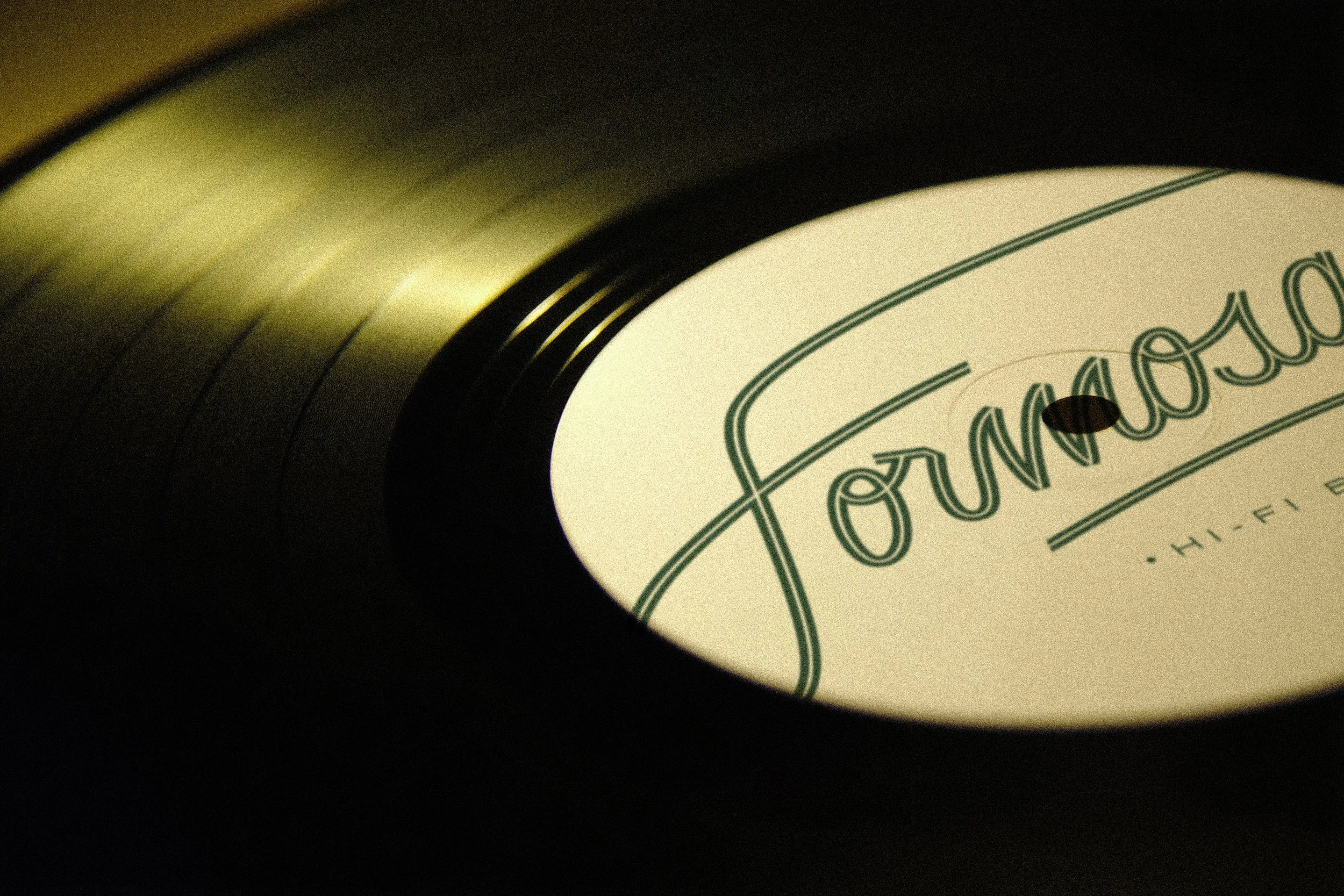 felipecama_super_closeup_of_an_ultra-realistic_photo_of_a_black_6294f795-6951-460c-aa12-b8efe755e128 copy.jpg