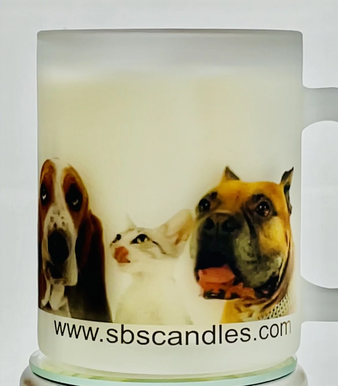 D415251E-3498-4AC9-884B-8E33BE640E82