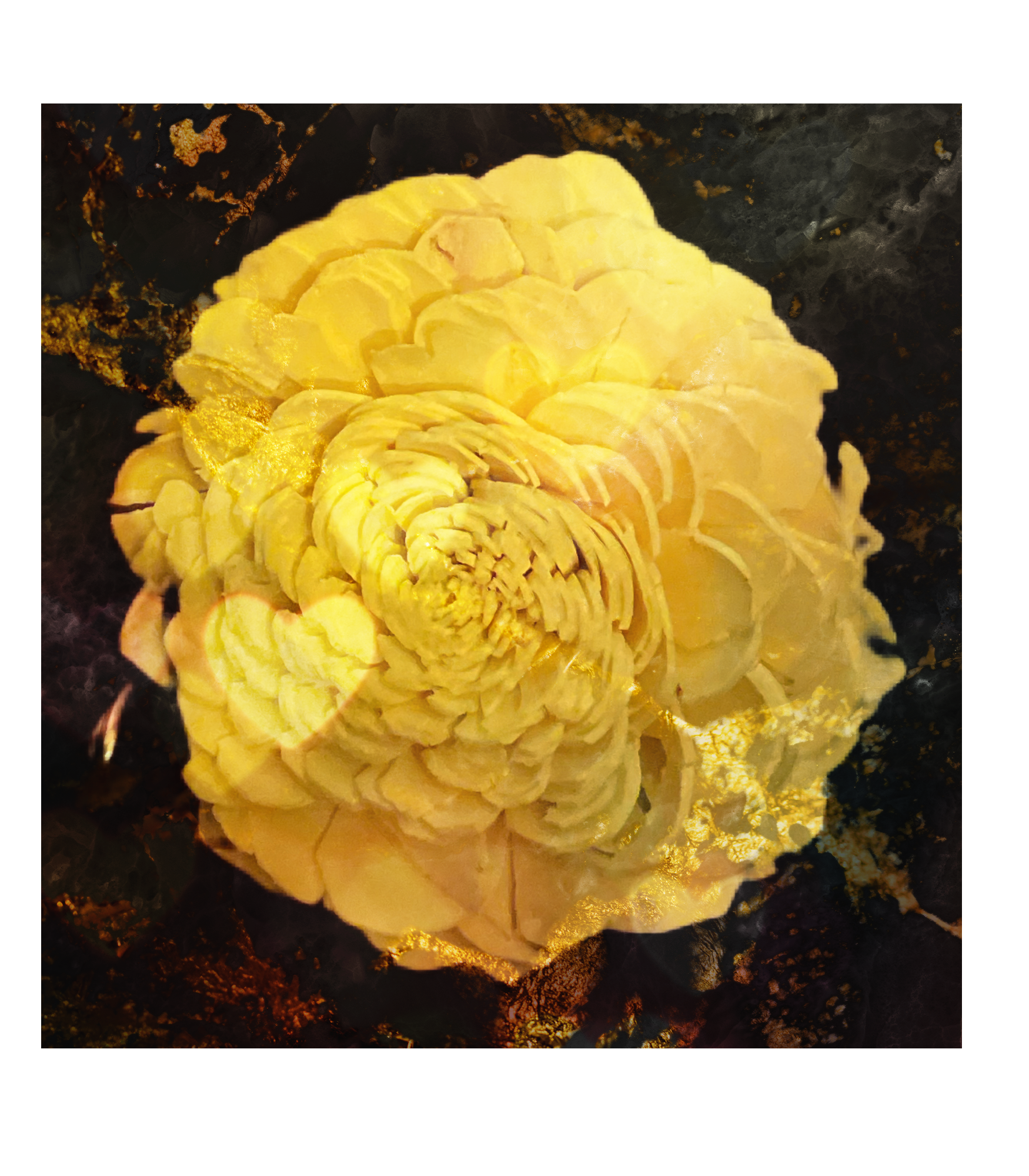 2F846ED3-87A7-49EE-9F55-ED592E0083AB