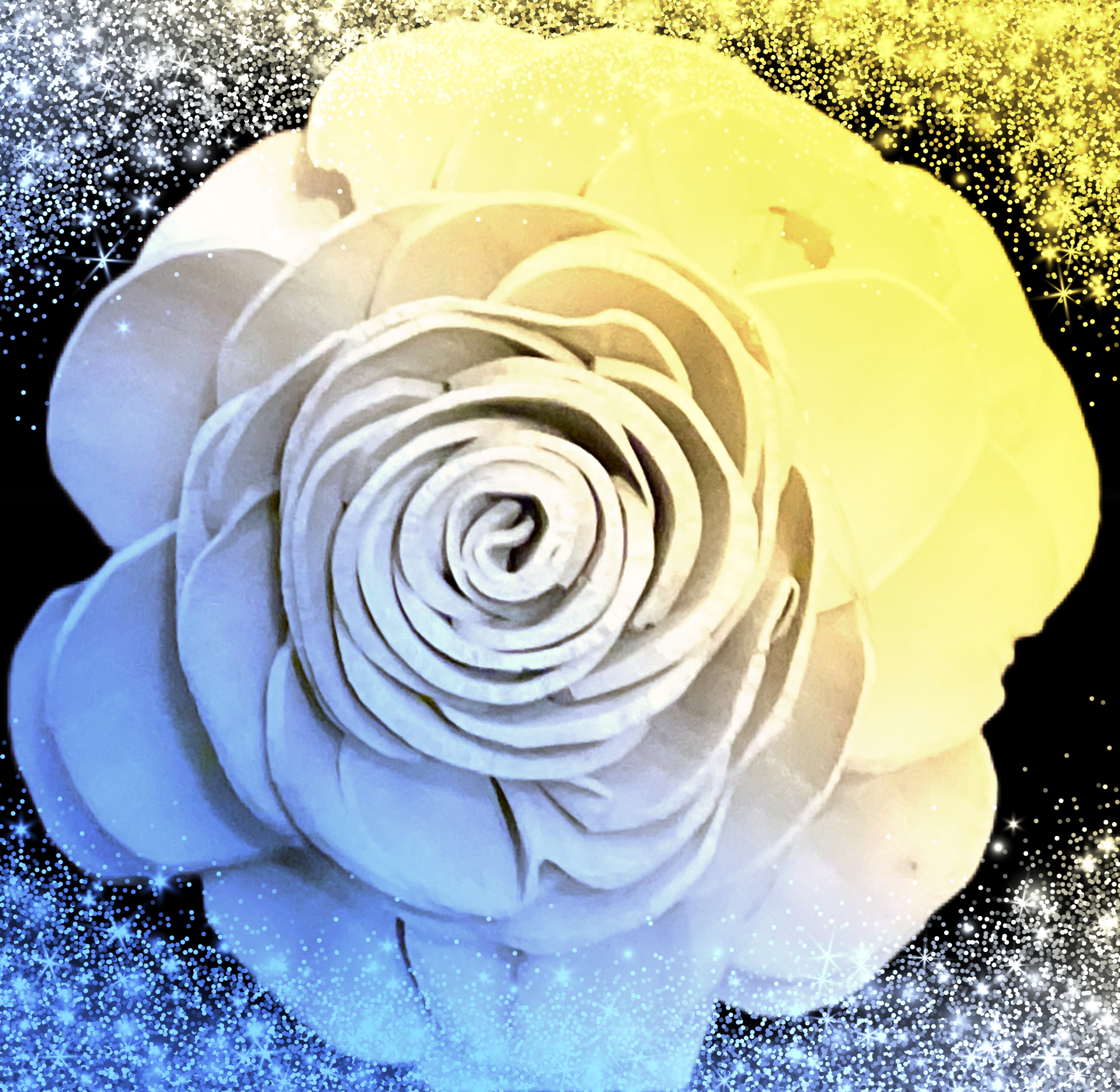 FBC33C81-DAC8-4E88-A1B2-DEAC2706A13E