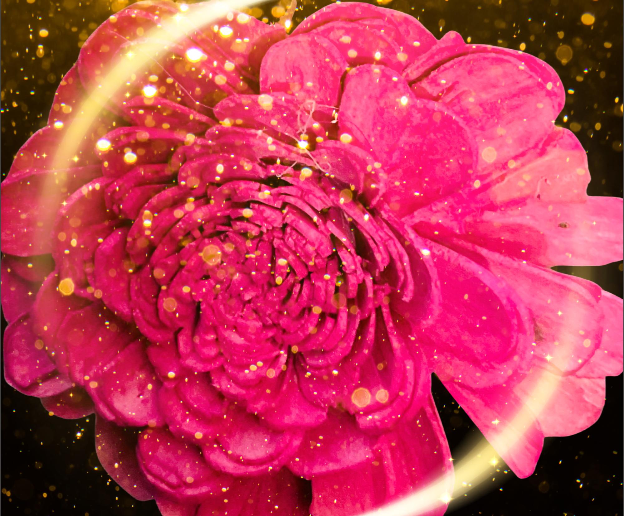 7D41C50F-B3F1-4D51-B695-9CA0CF9F9541