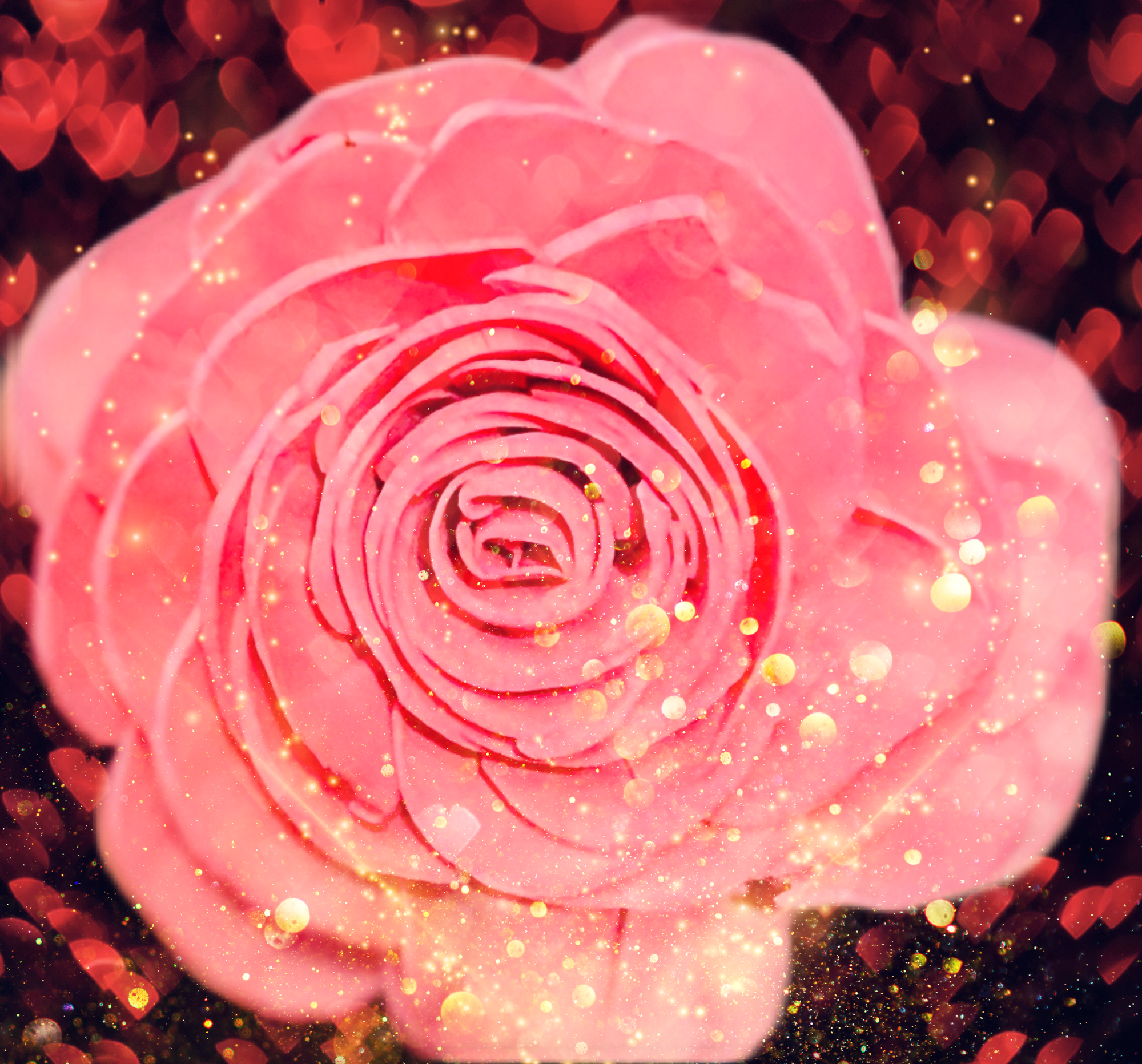 A0A6A7EF-6C41-4C06-B172-A27EC68B7035