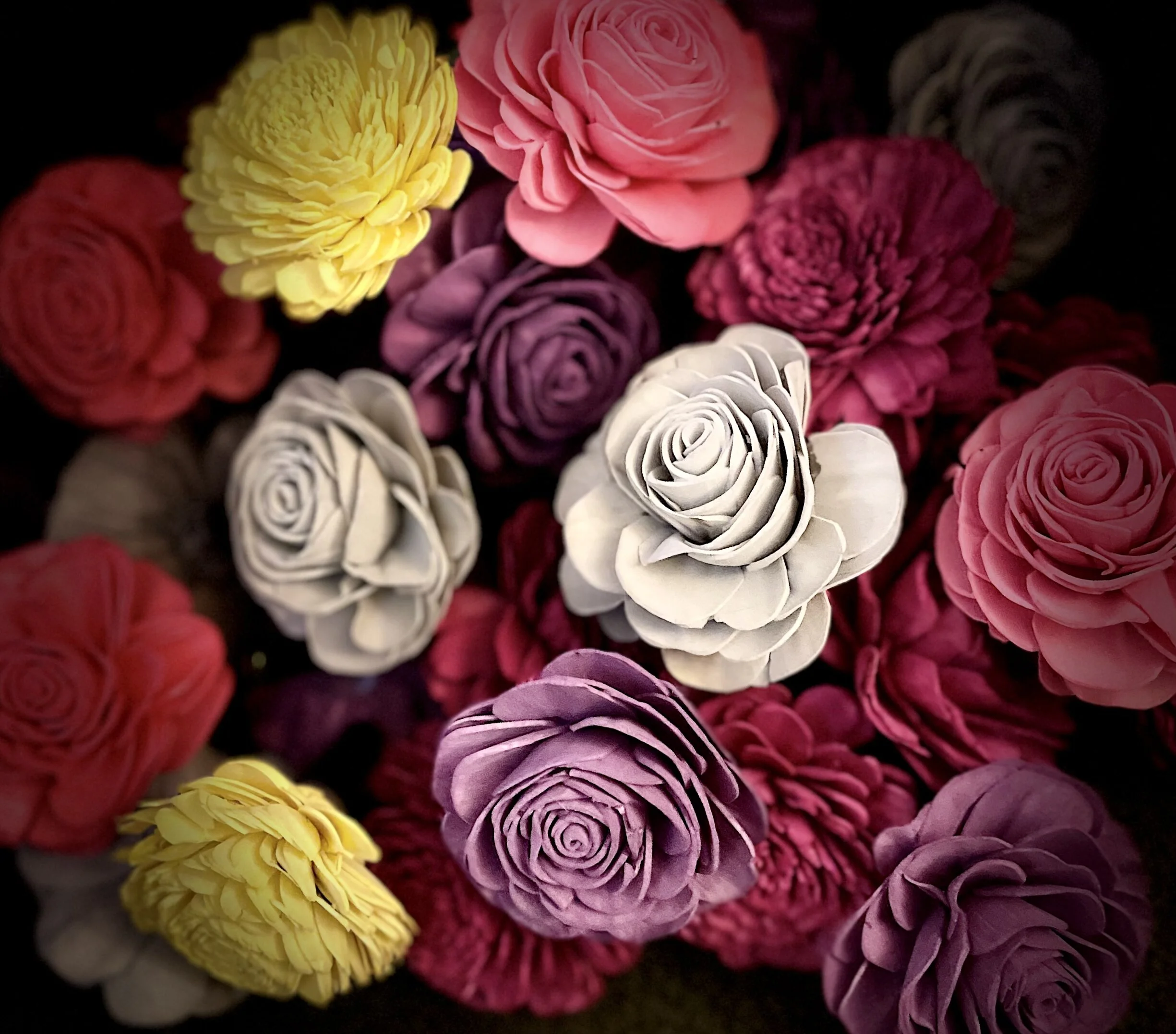 3CB8C9CE-442B-4D16-86CB-18F68F263426