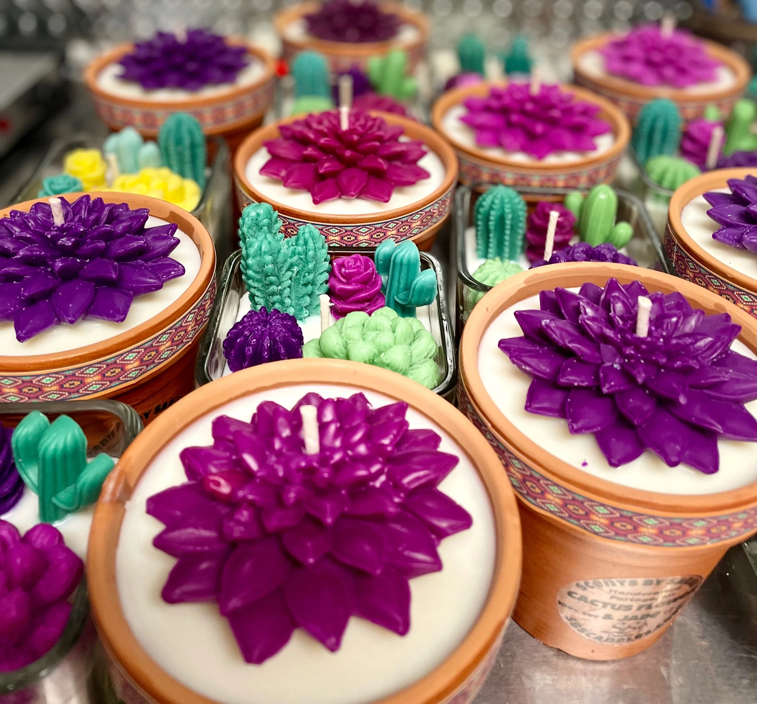 6EB2E229-4916-4217-A689-C373E105A578