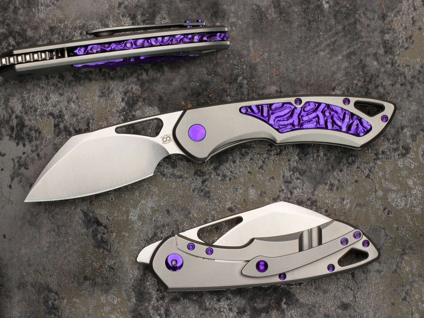 sheeps-lb-purple.jpg