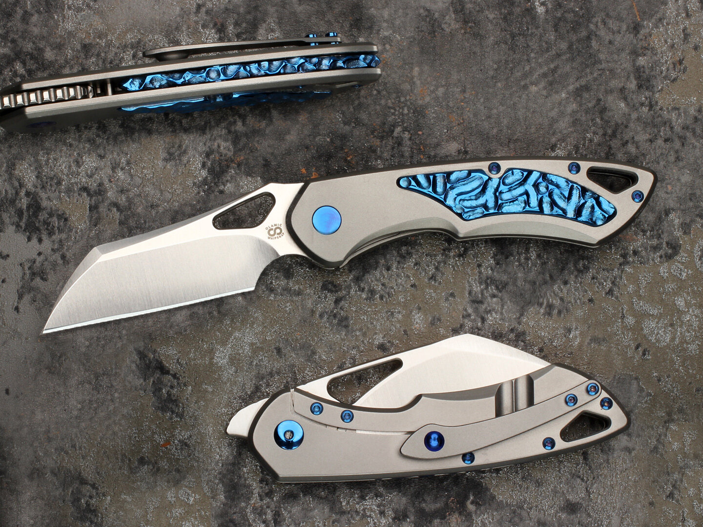 wharn-lb-blue.jpg