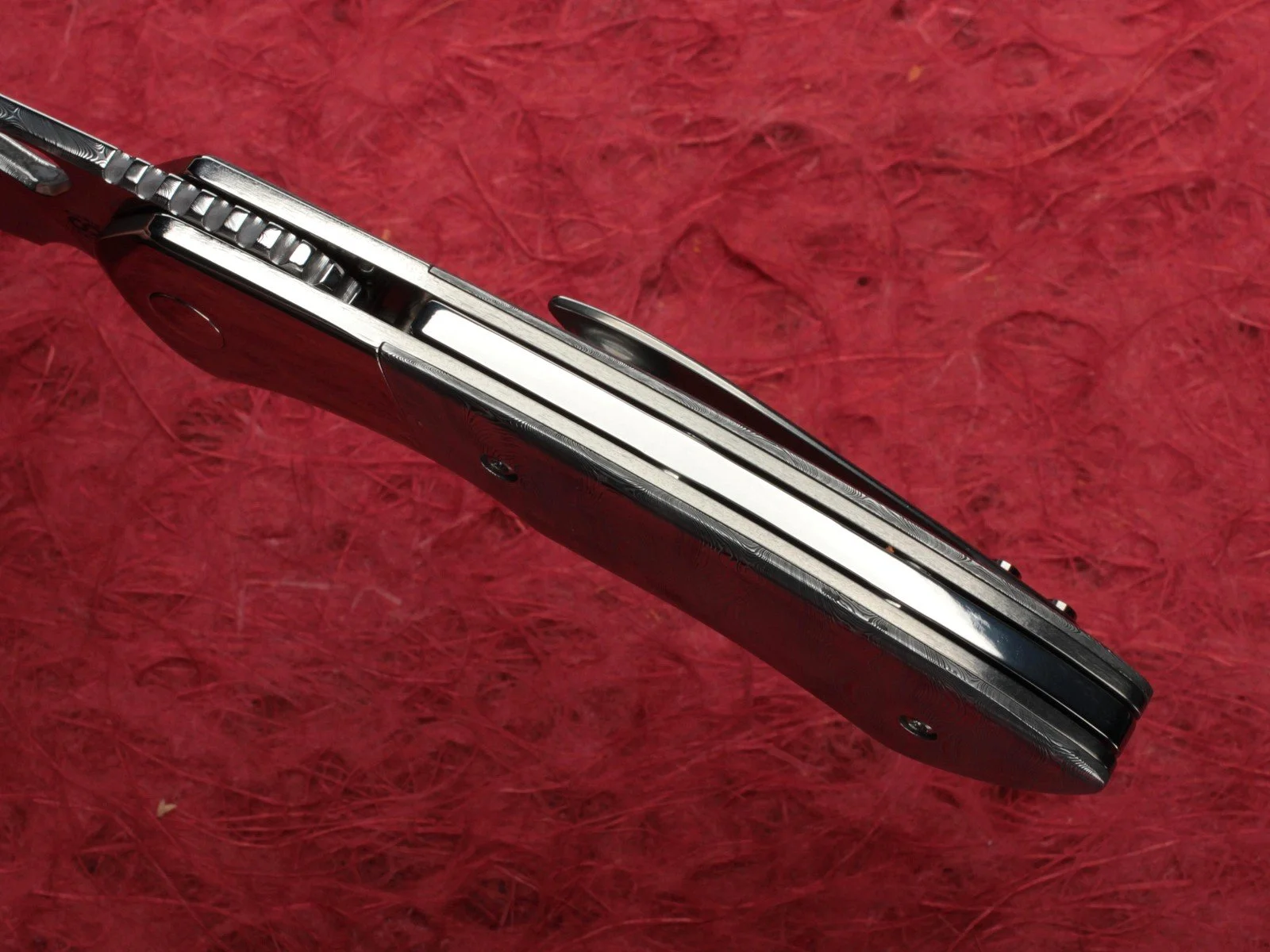 IMG_2753.jpg