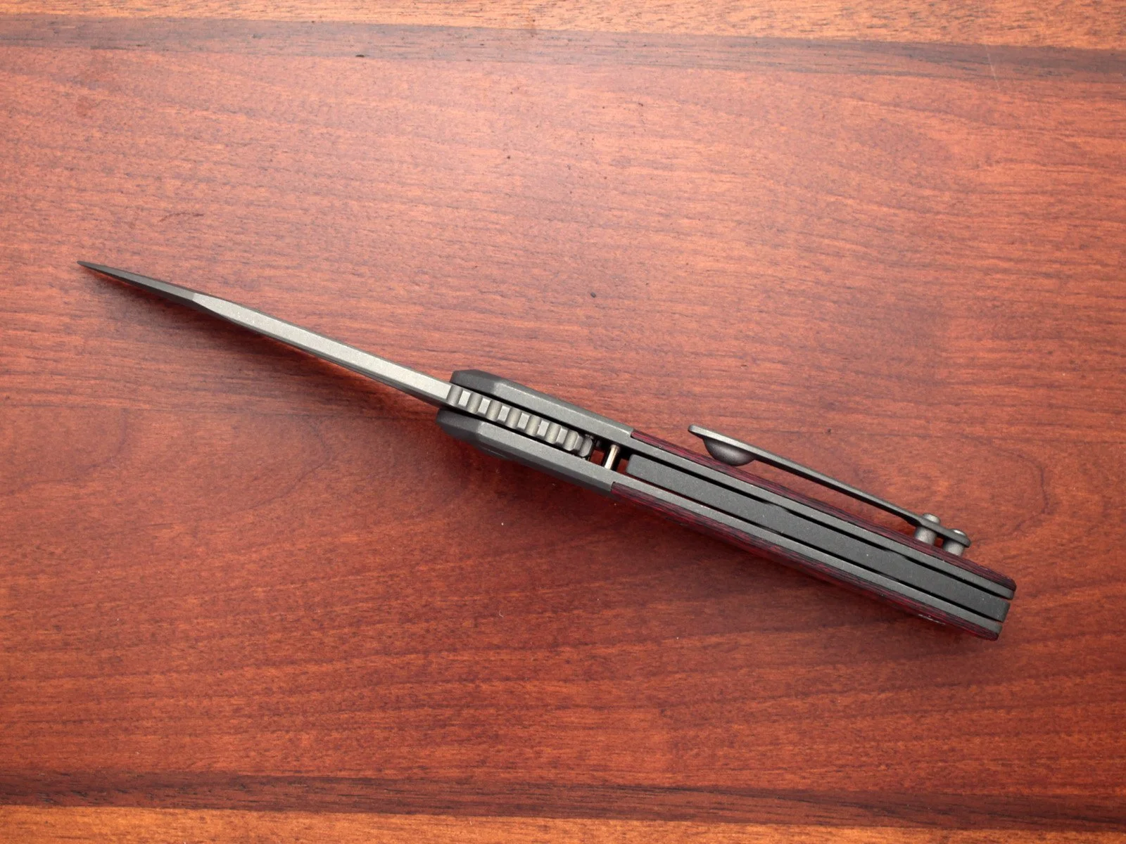 IMG_5804.jpg