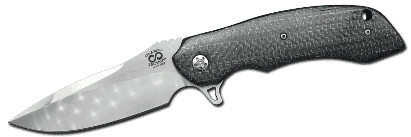 Wayfarer Classic LSCF