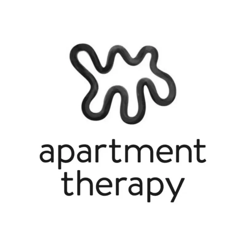 Shamika Lynch, Principal Designer/Owner, Maximizing Tiny Interiors: luxury interior design specializing in small spaces featured in "apartment therapy" 