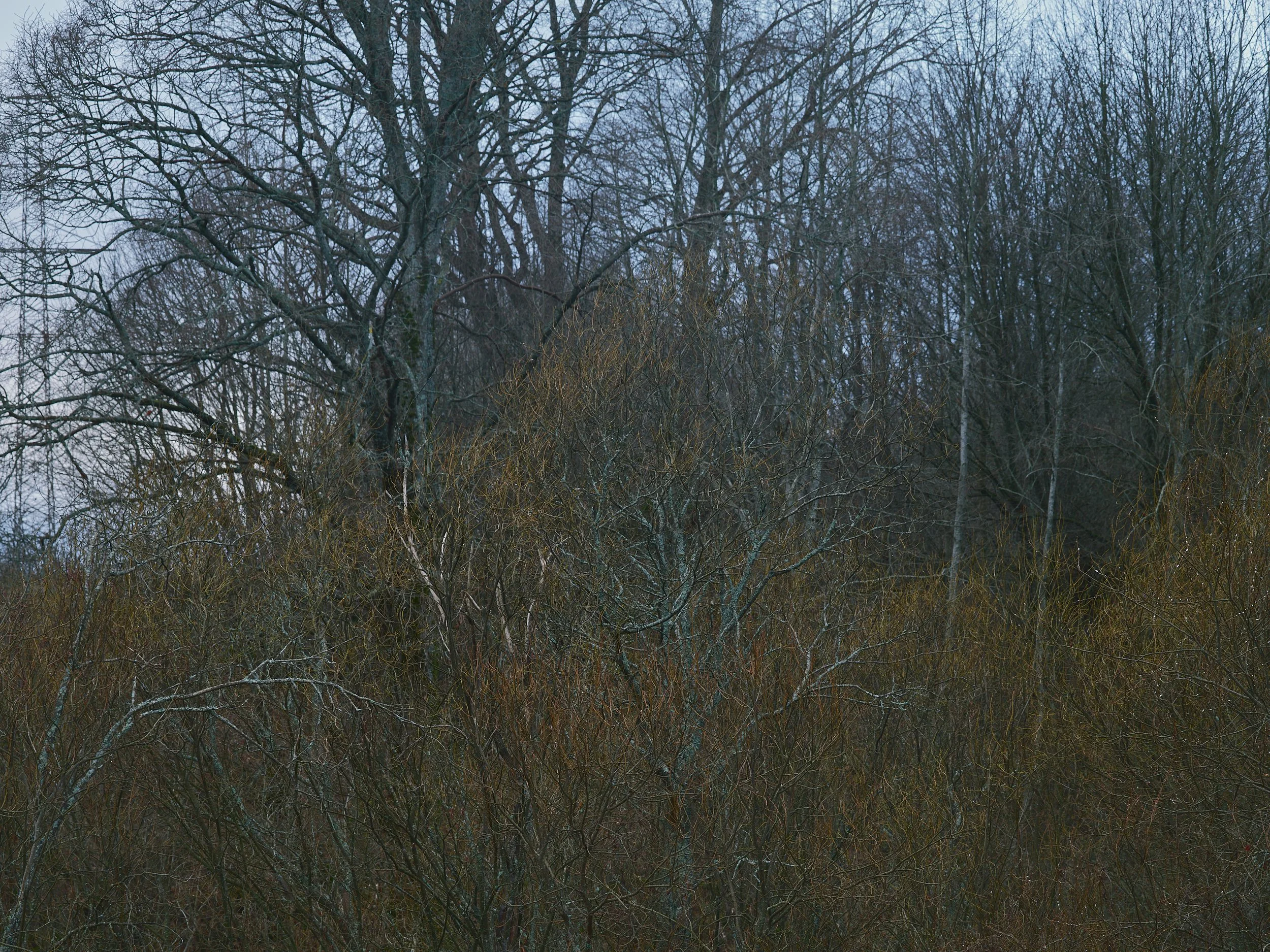 Apr 30 2026 1.jpg