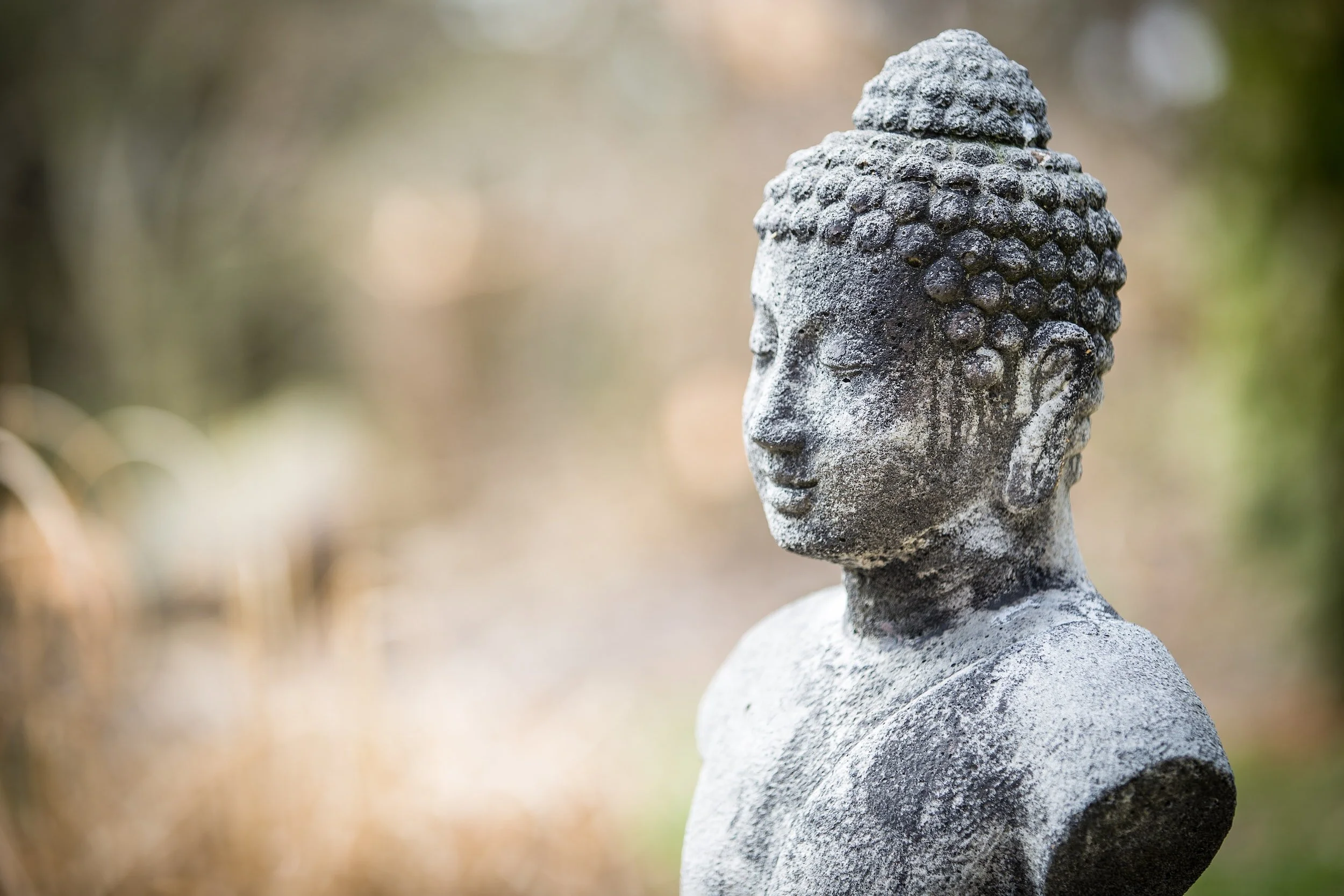Healing the body calms our chaotic mind.