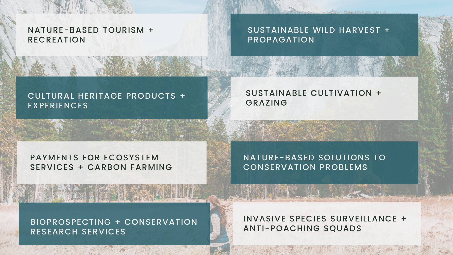 What Is A Nature-Based Enterprise? — Ethical Republic