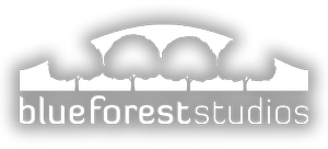 Video Production Company in Raleigh, NC — Blueforest Studios