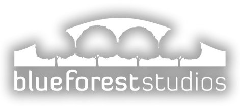 Video Production Company in Raleigh, NC — Blueforest Studios