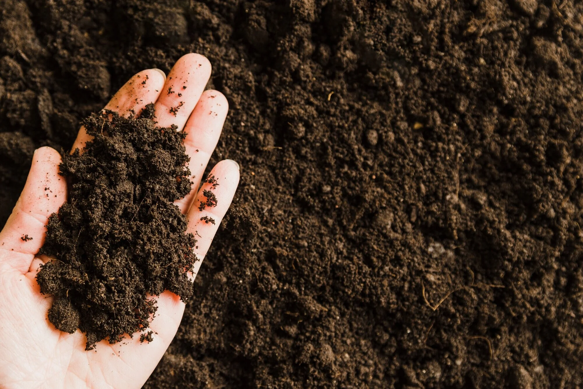 soil_hands2000px.jpg