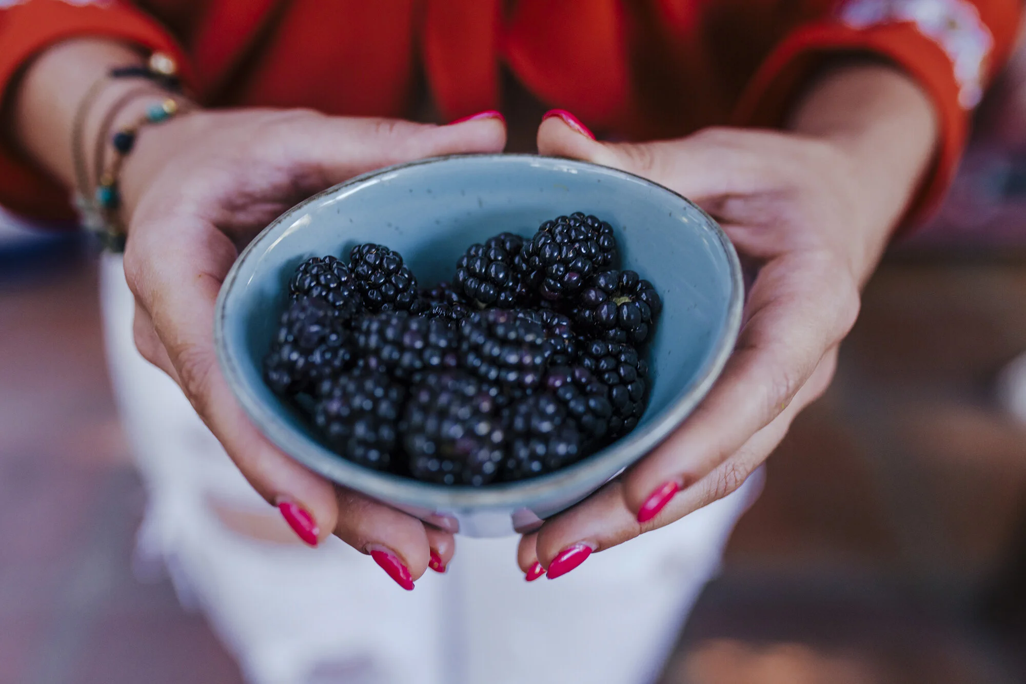 Growing Blackberries