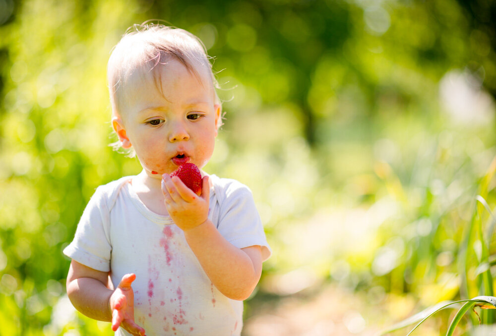 Picking your strawberries