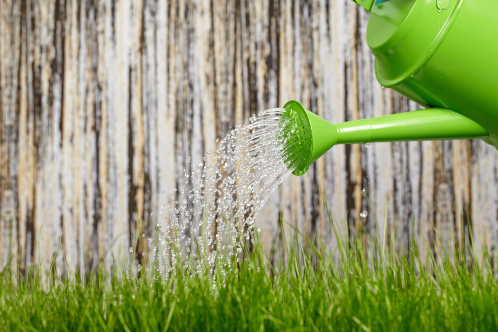 watering_grass1000px.jpg