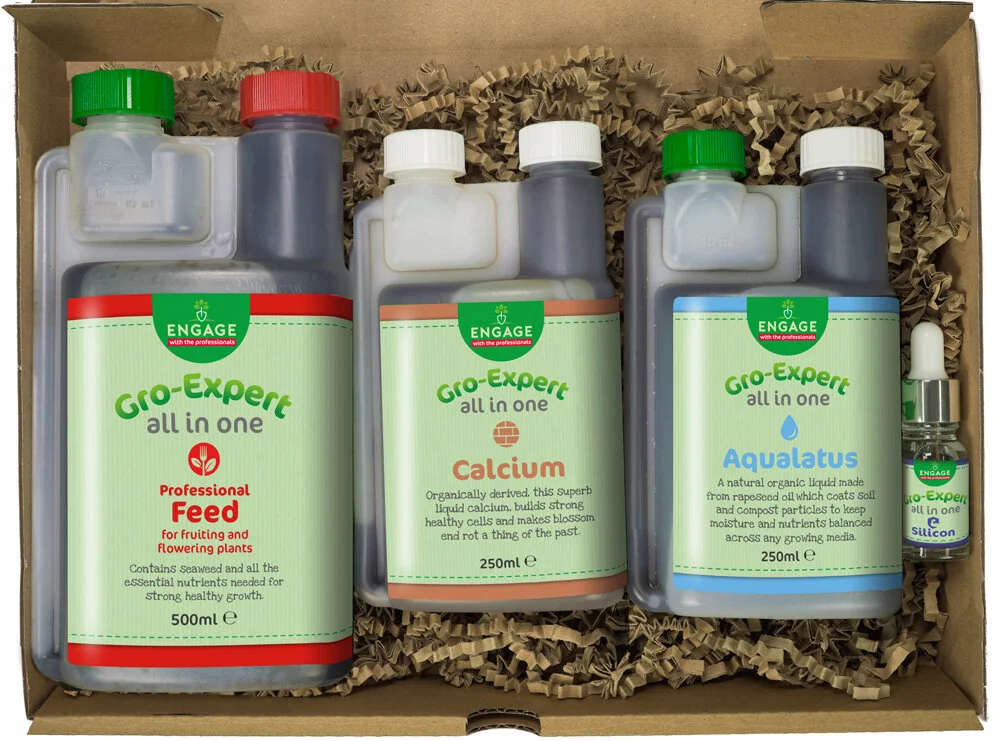 Tomato Food and Care