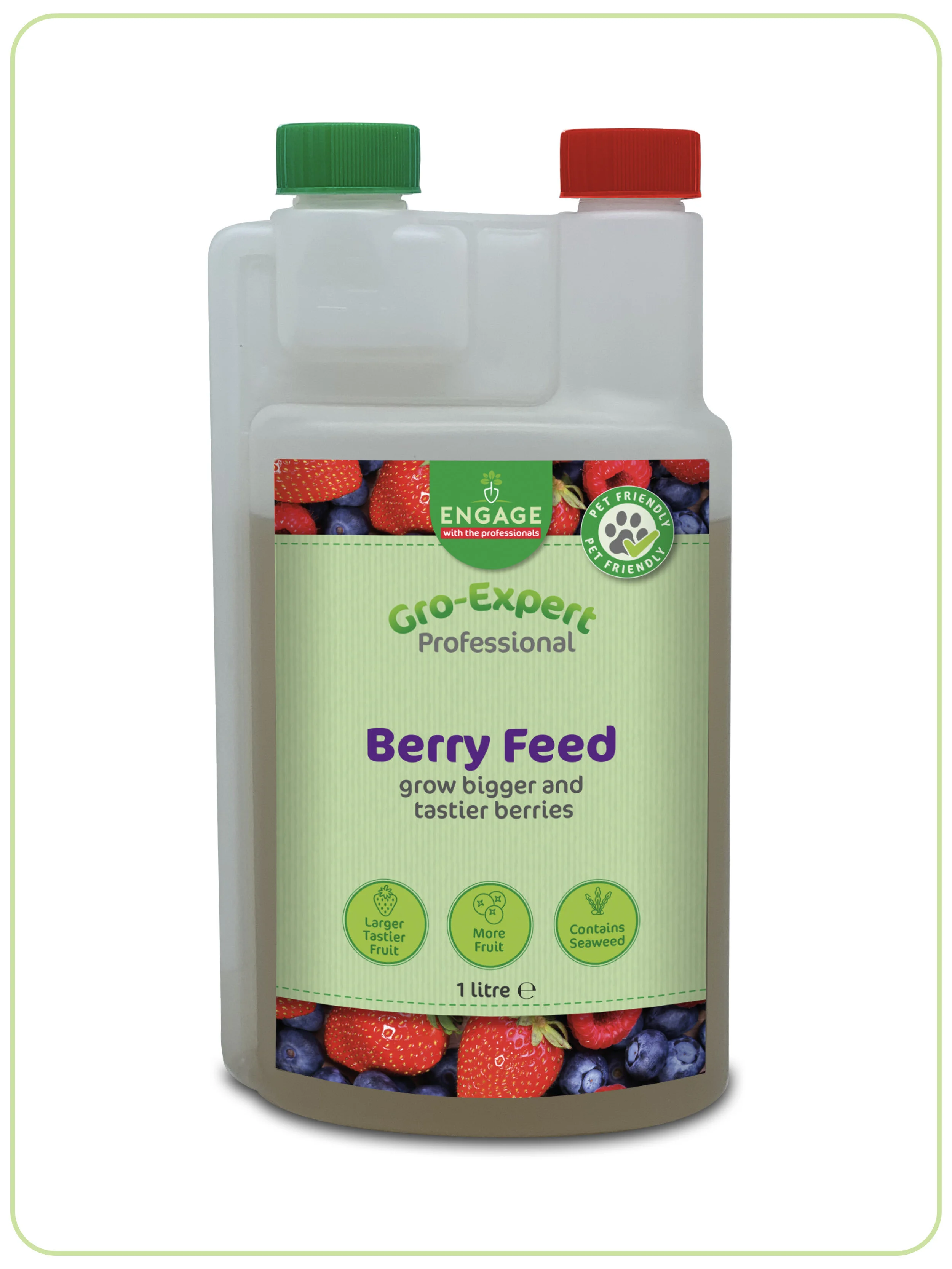 Berry Feed