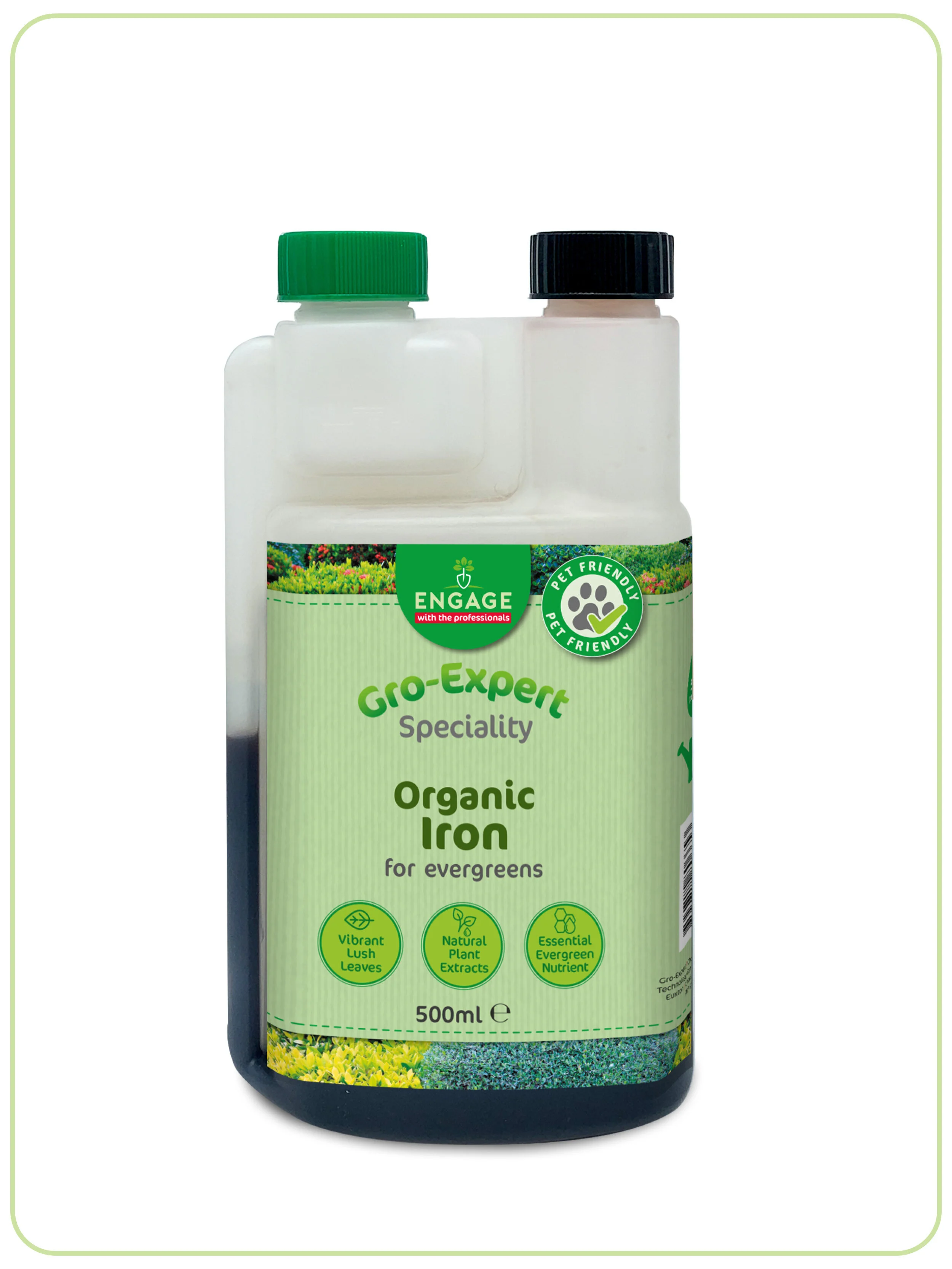 Organic Iron for Evergreens