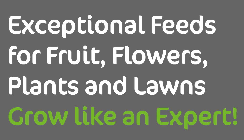 Grow, fruit, flowers and lawns like an expert!