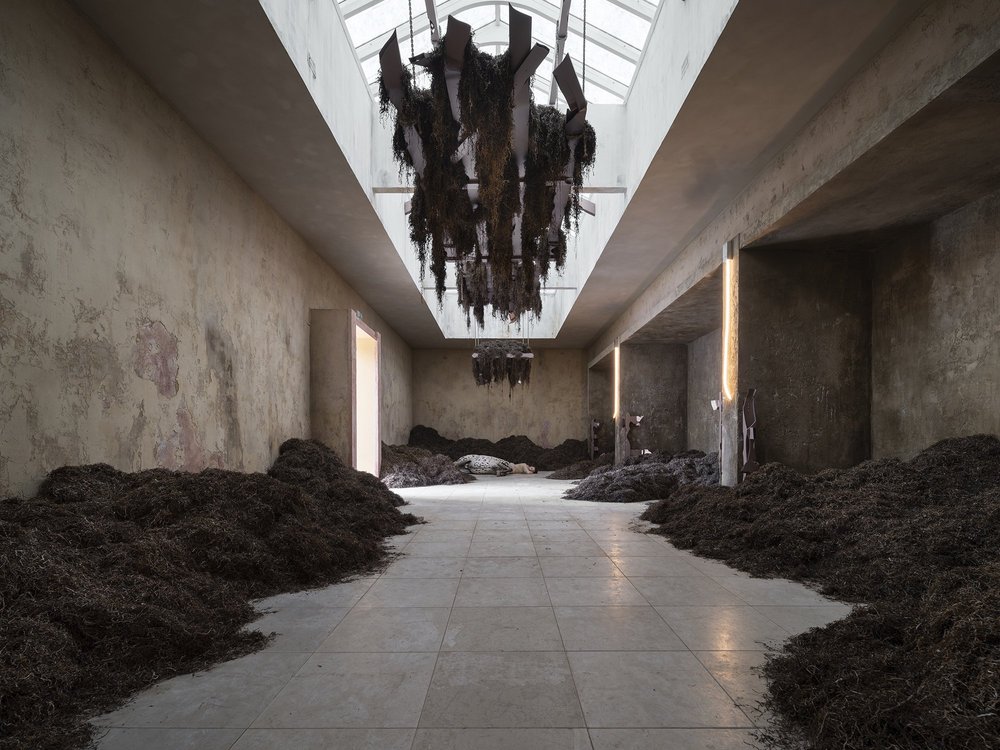 Uffe+Isolotto.+We+Walked+the+Earth.+Pavilion+of+Denmark,+Biennale+Arte,+2022_©_ugo_carmeni_10.jpg