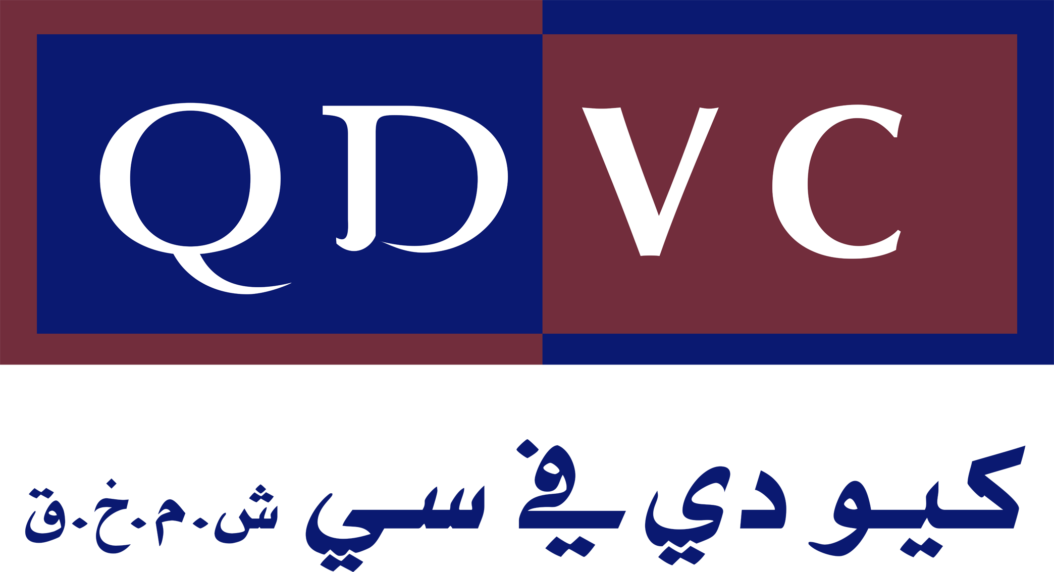 QDVC-logo-.png