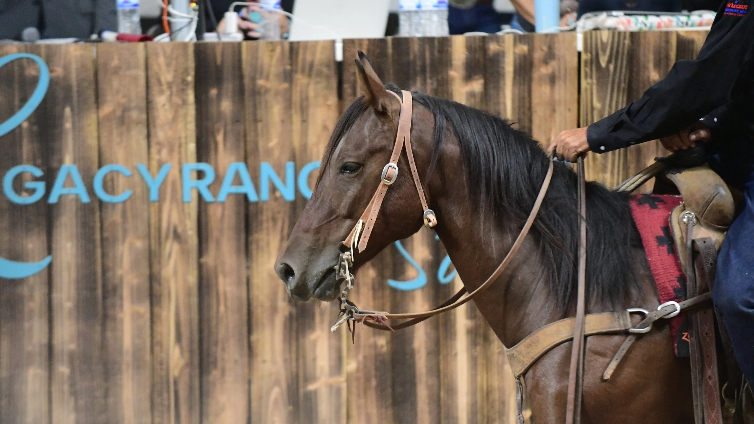 Legacy Ranch Horse Sale