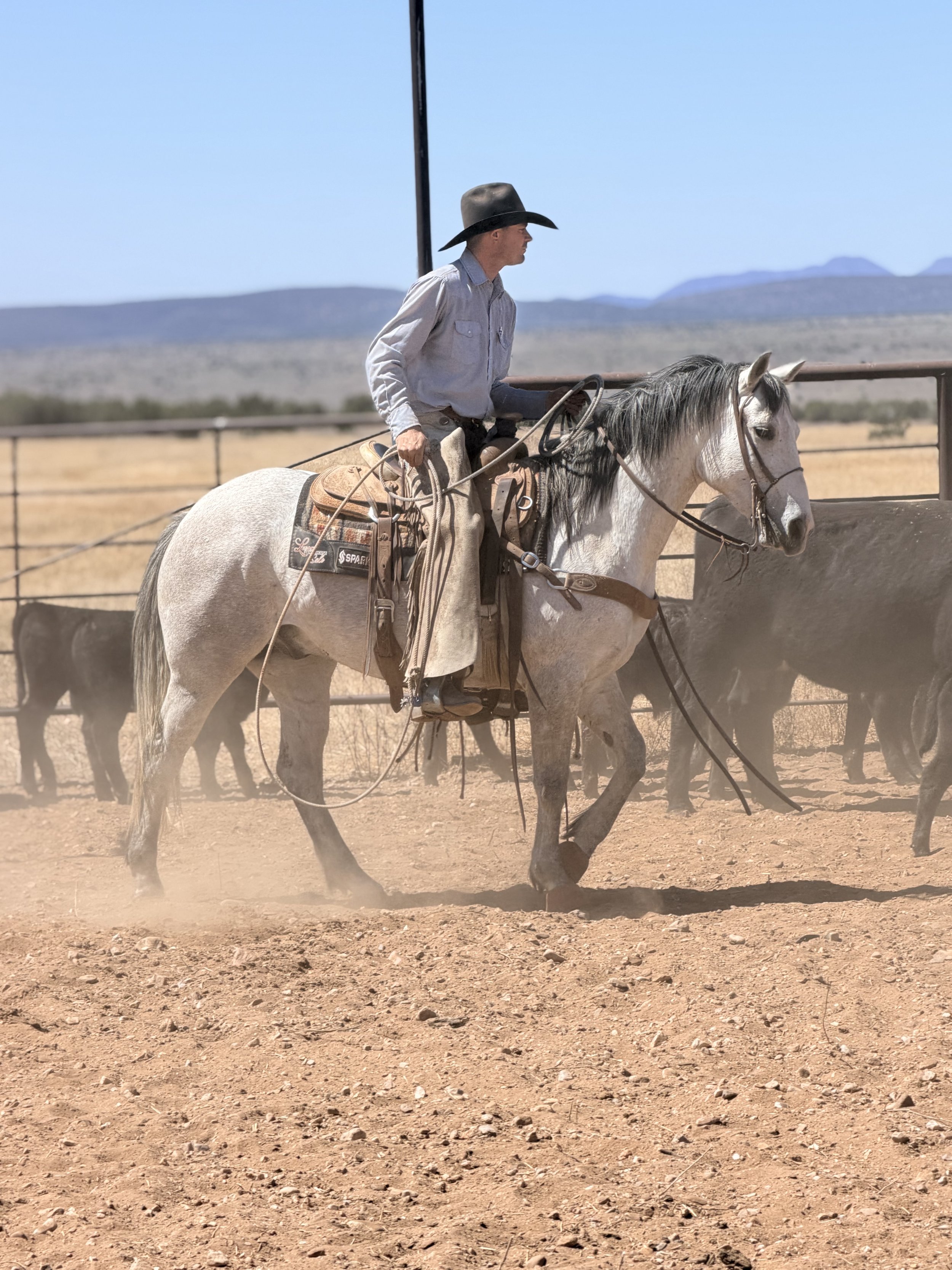 Woman riding a horse through a wetlands area during daylight, wearing a cowboy hat and casual clothing.