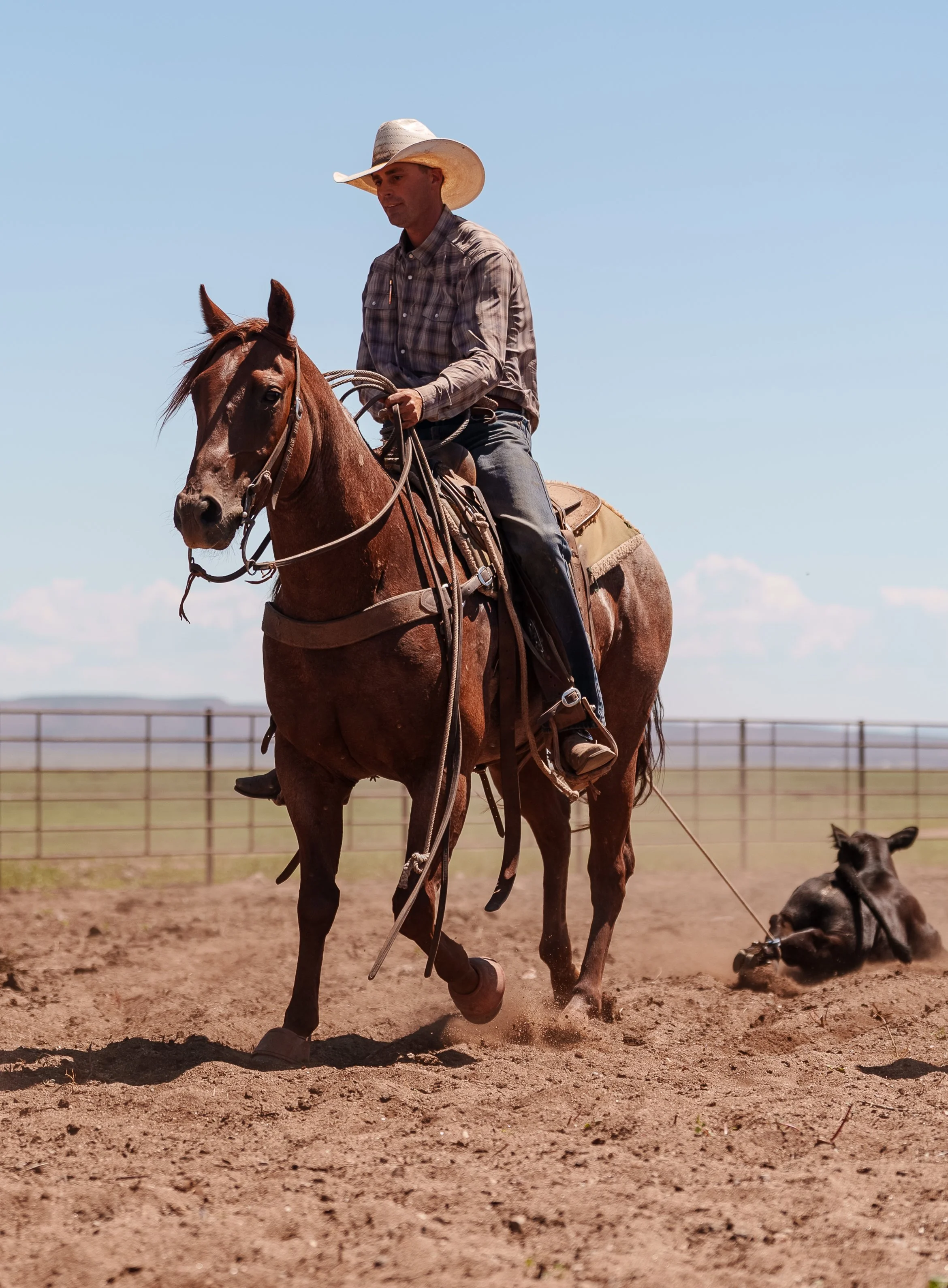 A man wearing a cowboy hat and sunglasses riding a brown horse through a grassy field with trees in the background during sunset.