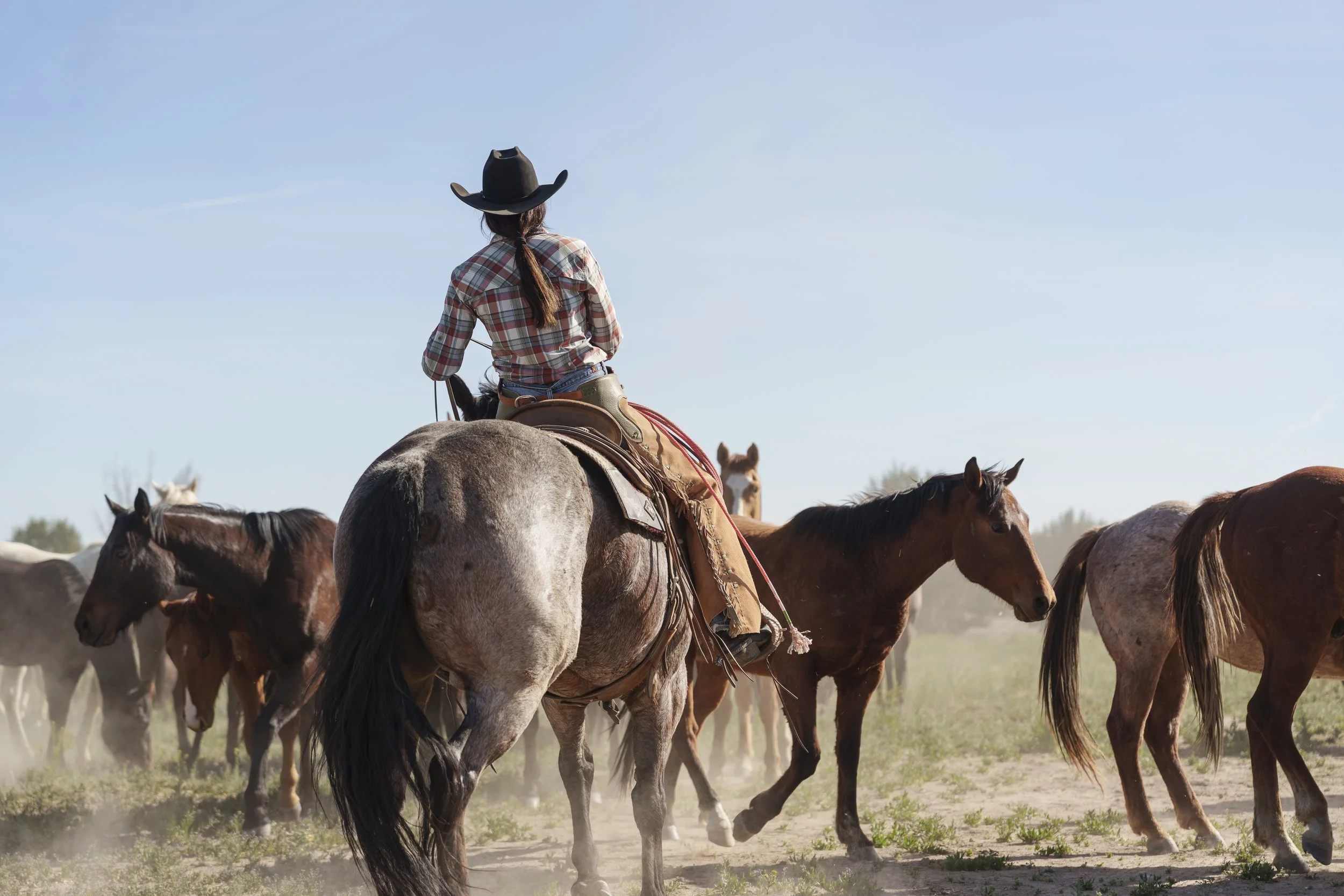 A person riding a horse through a waterlogged field during sunset, wearing a cowboy hat and sunglasses.