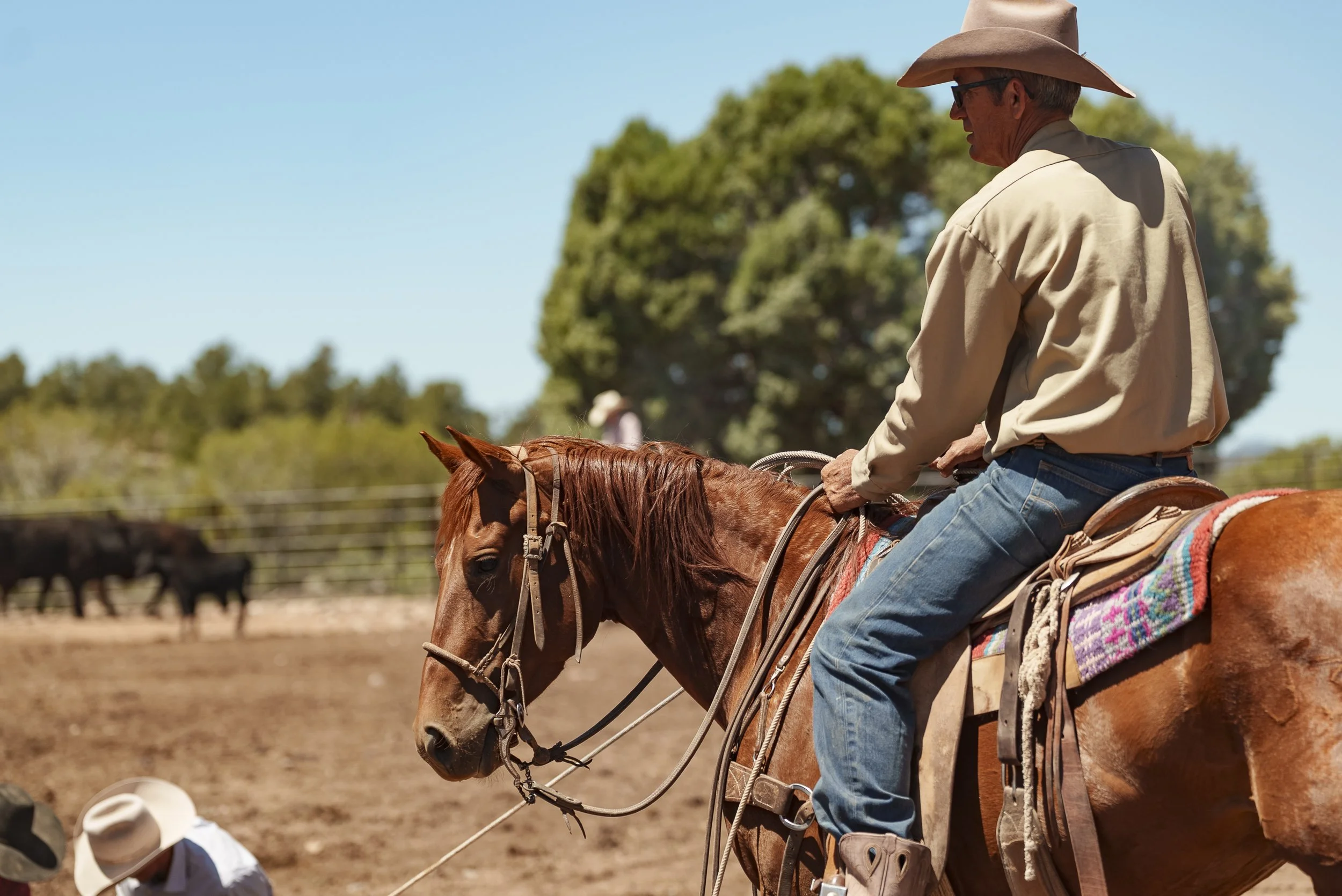 A person riding a brown horse in an outdoor setting with trees in the background. The rider is wearing a wide-brimmed hat, a light blue shirt, and leather chaps.