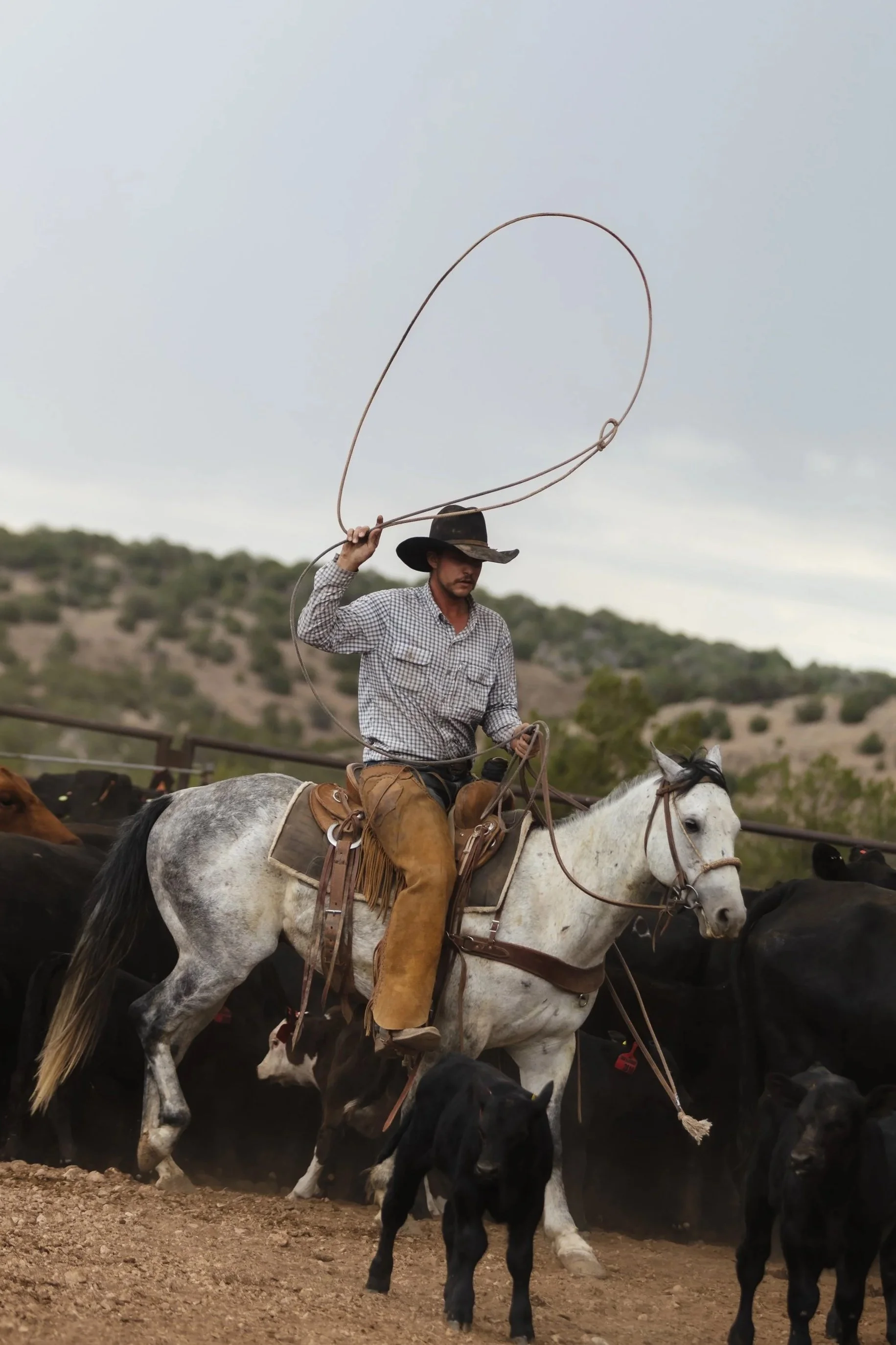 A woman with black hair, sunglasses, and a gray sweatshirt holds a lead rope attached to a gray horse in an outdoor riding area. The horse stands on dirt, with a fence, open sky, and distant hills in the background.