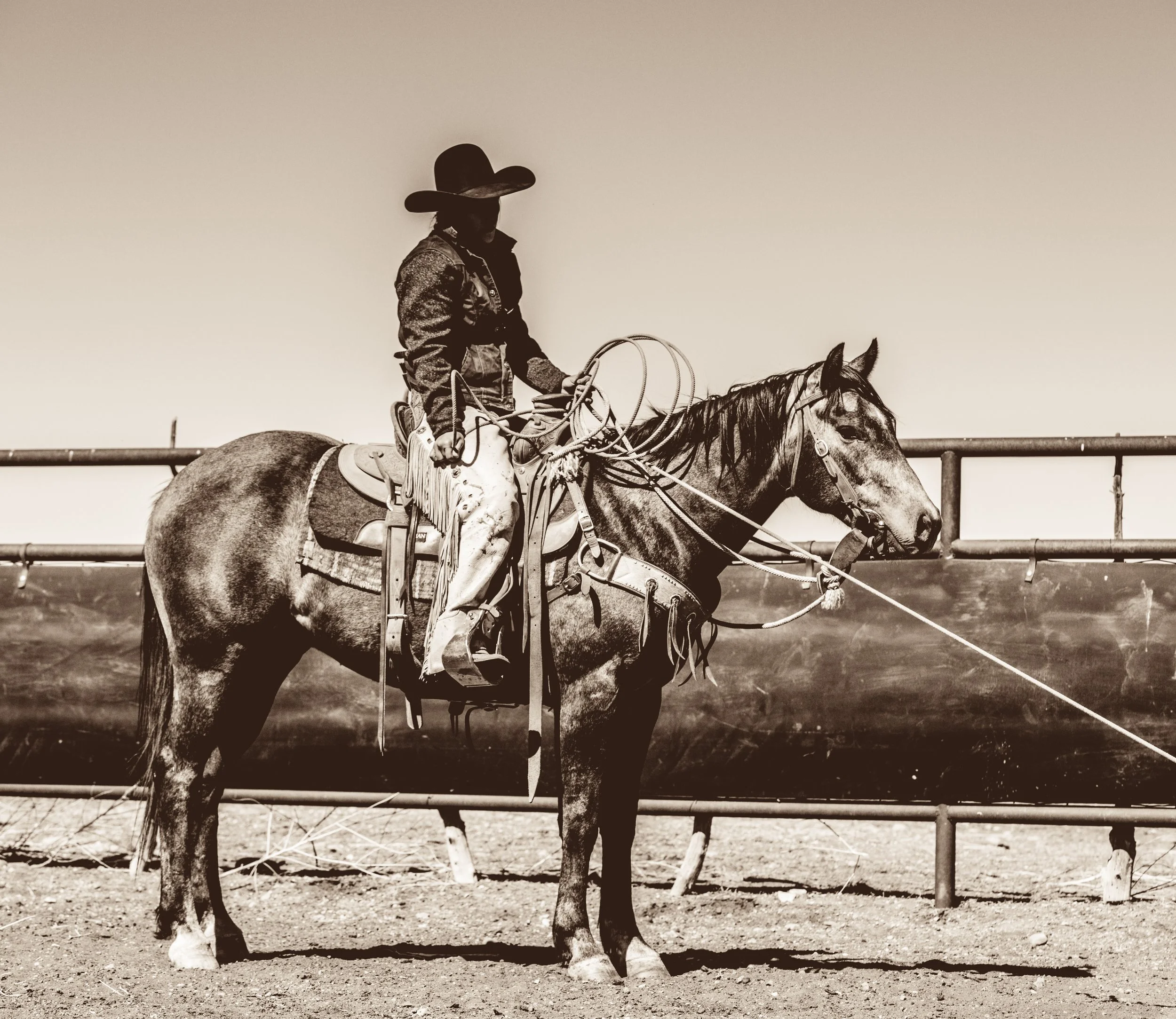 Legacy Ranch Horse Sale