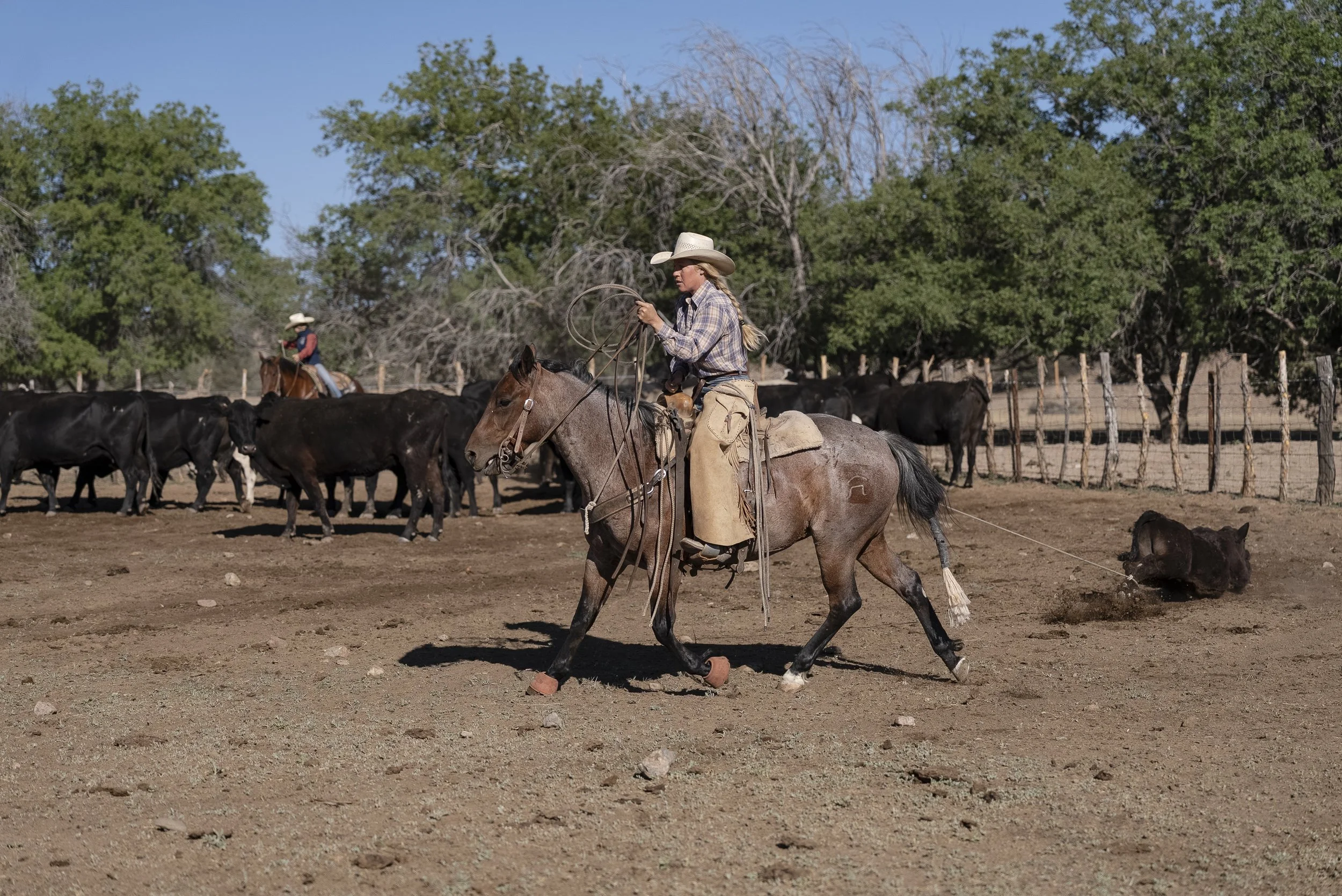 A woman riding a horse in a desert landscape with sparse vegetation and a chain-link fence in the foreground.