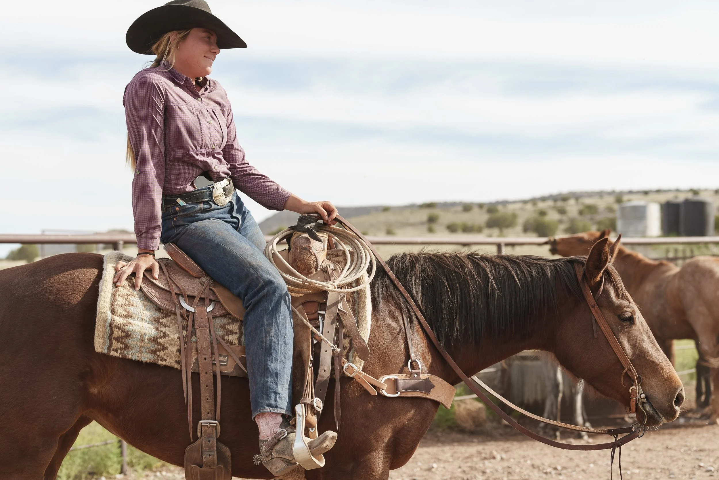 A cowboy wearing a hat and sunglasses riding a brown horse near a metal gate in a grassy field, with other horses visible in the background.