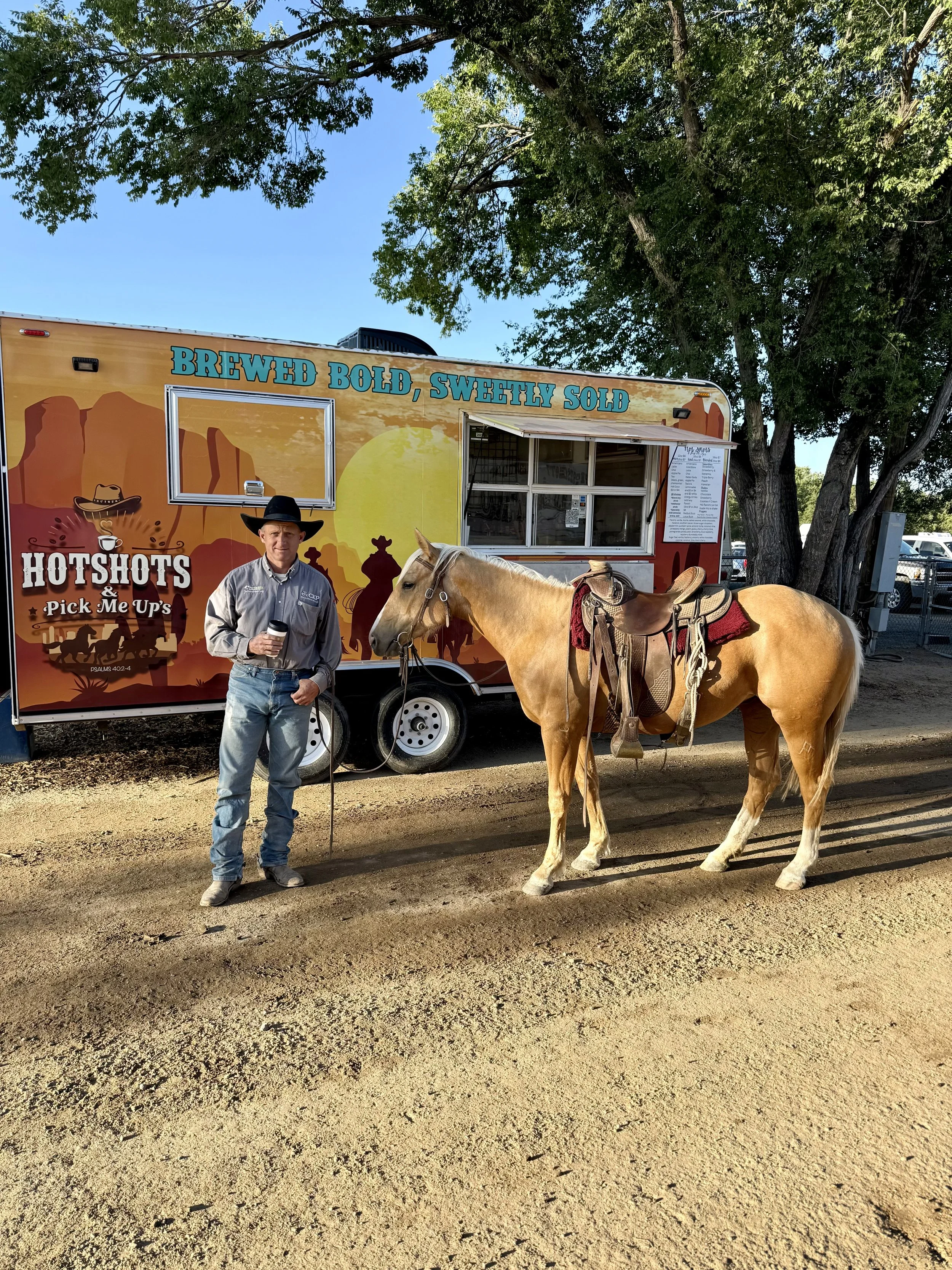 A cowboy riding a brown horse in a cattle ranch, surrounded by black and brown cows under a clear blue sky.