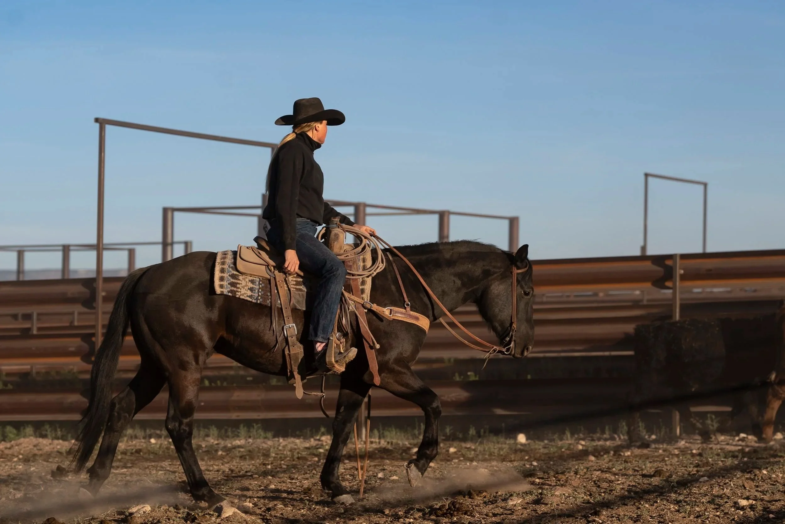 Woman riding a gray horse in a rural landscape with a dog nearby, wearing a wide-brimmed hat and denim jacket.