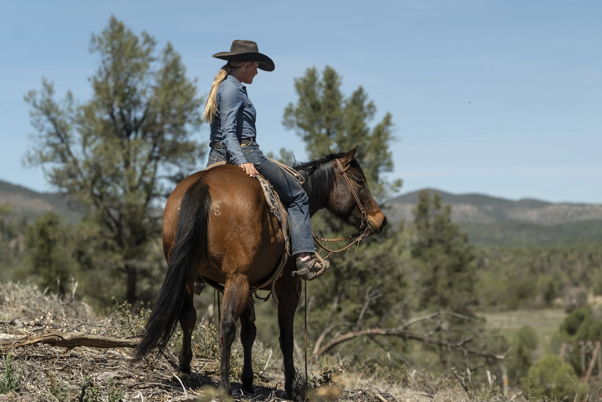 A person in a cowboy hat riding a horse in an indoor riding arena.