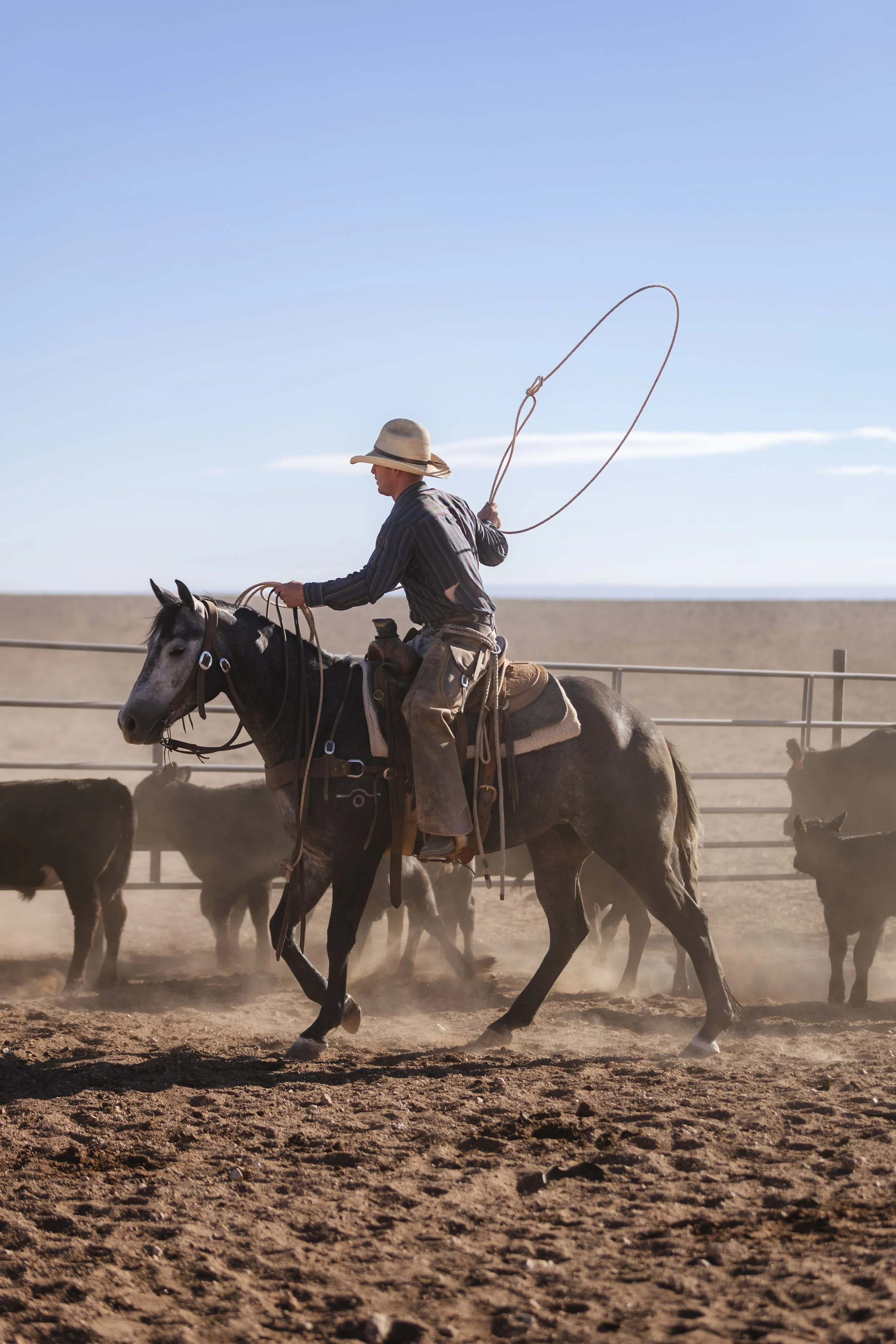 A man in a cowboy hat and blue shirt riding a black and white horse in a rural area with a clear blue sky.