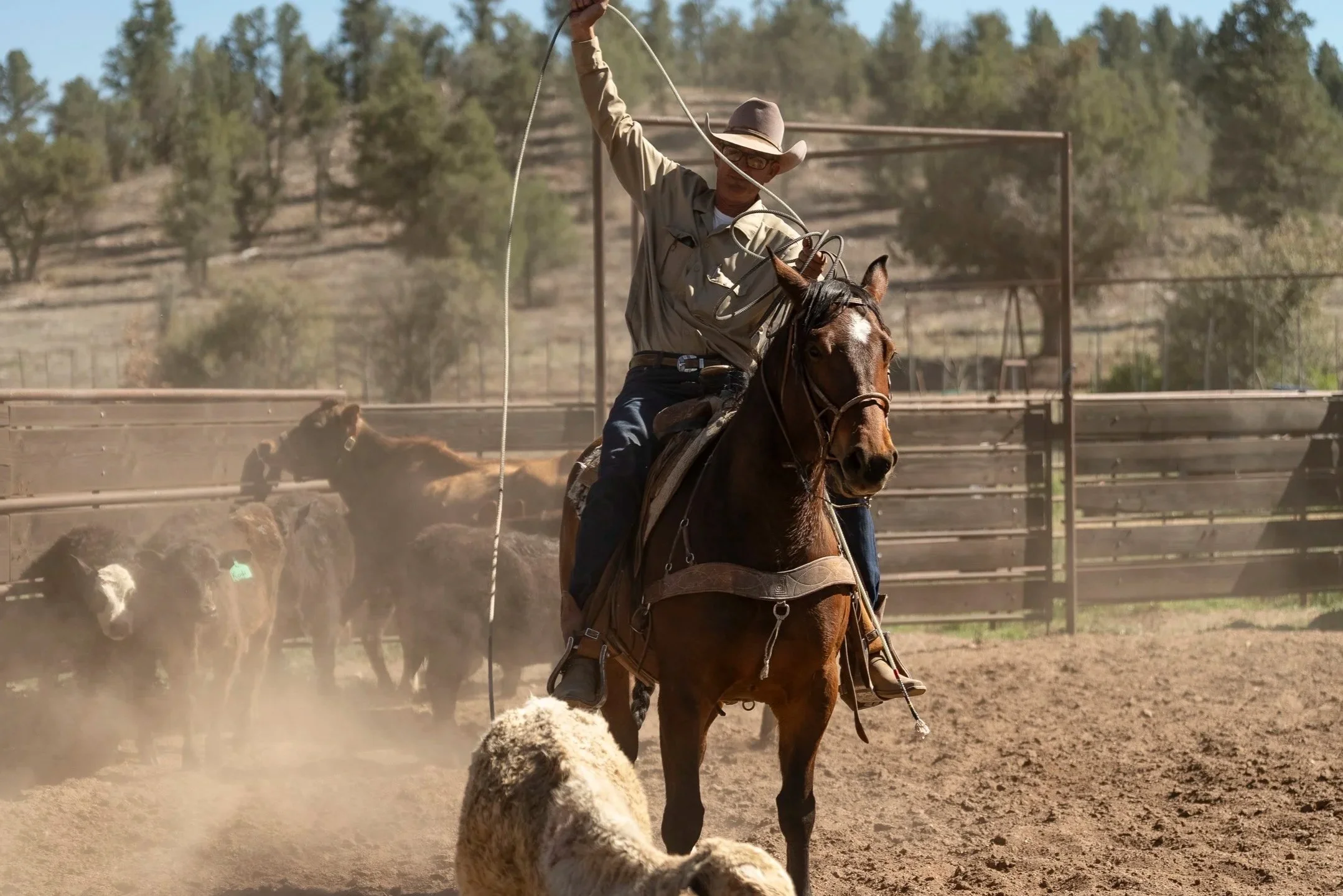 Three people at a rodeo event, two women and one man, with one woman holding a large check, the other holding a trophy, and the man on a horse wearing a cowboy hat and ribbons, all smiling. The background shows an arena with seating and banners.