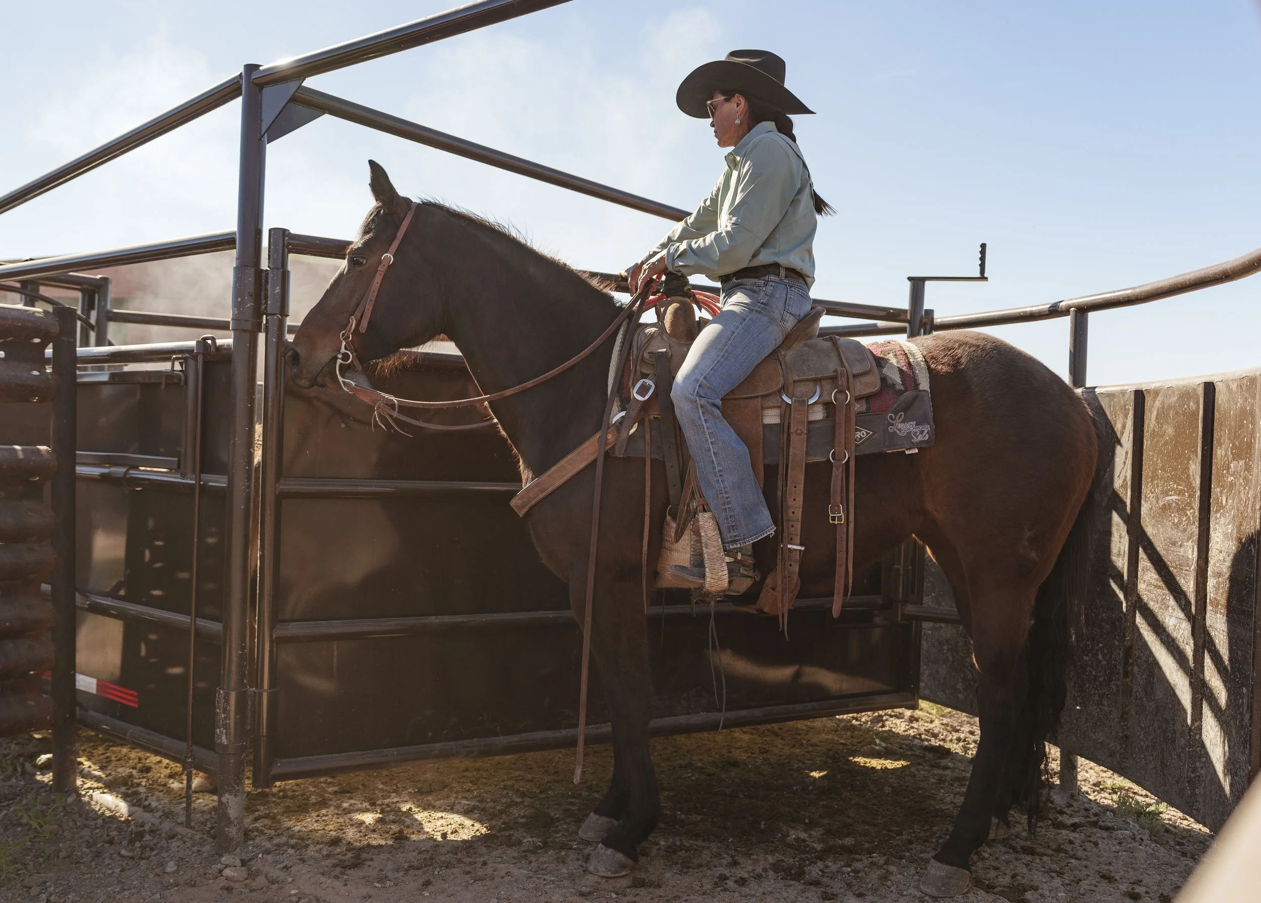 A cowboy riding a horse with a lasso in an indoor arena during a rodeo event, with spectators watching in the background.